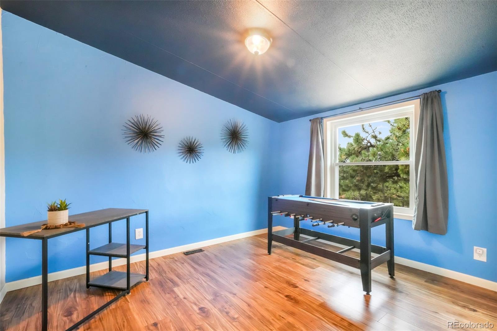 MLS Image #29 for 696  calle de la nieva ,florissant, Colorado
