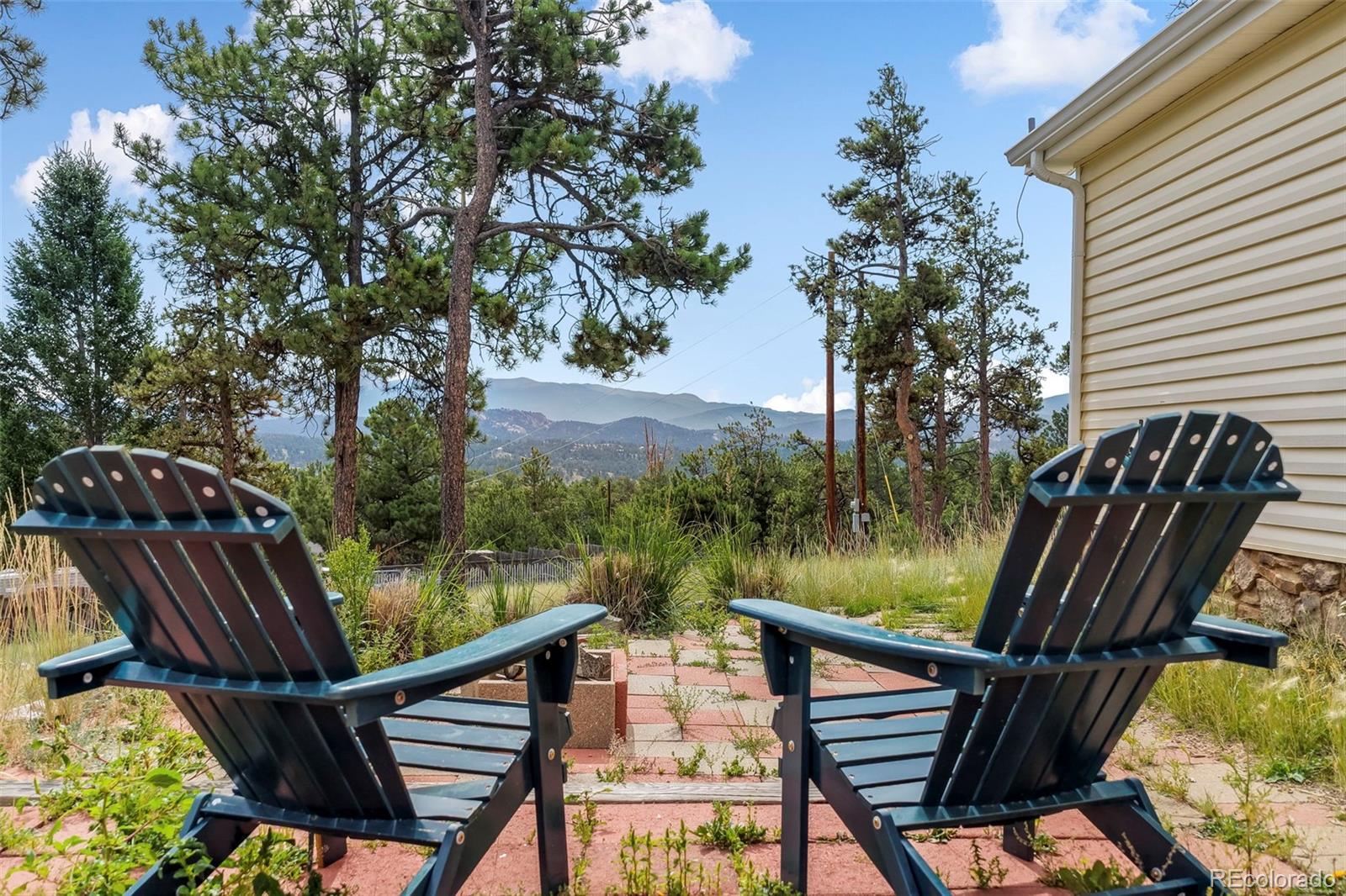 MLS Image #3 for 696  calle de la nieva ,florissant, Colorado