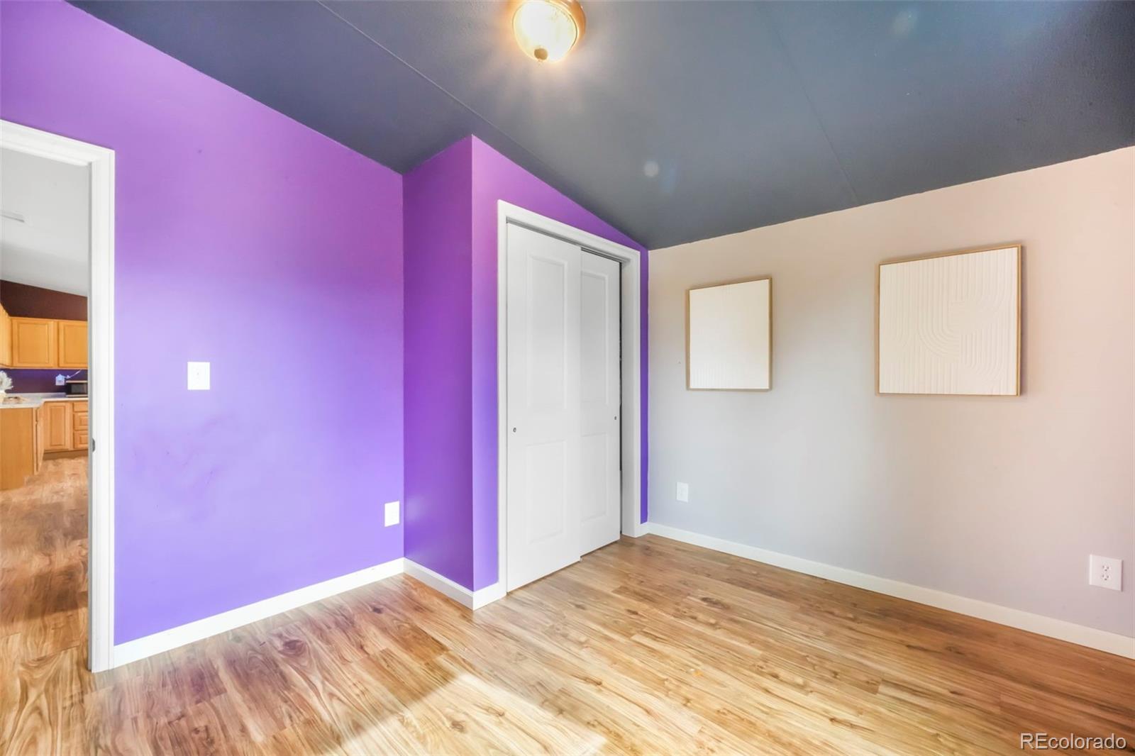 MLS Image #34 for 696  calle de la nieva ,florissant, Colorado