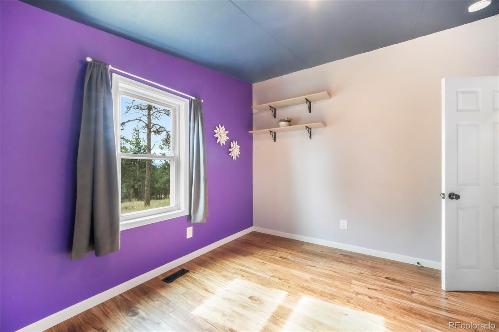 MLS Image #36 for 696  calle de la nieva ,florissant, Colorado