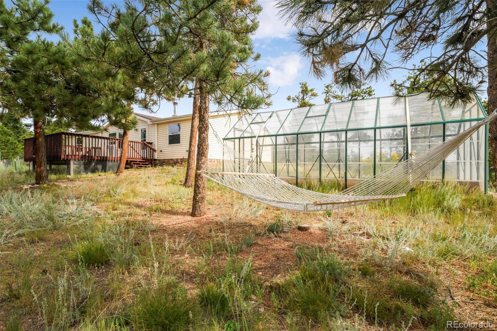 MLS Image #4 for 696  calle de la nieva ,florissant, Colorado