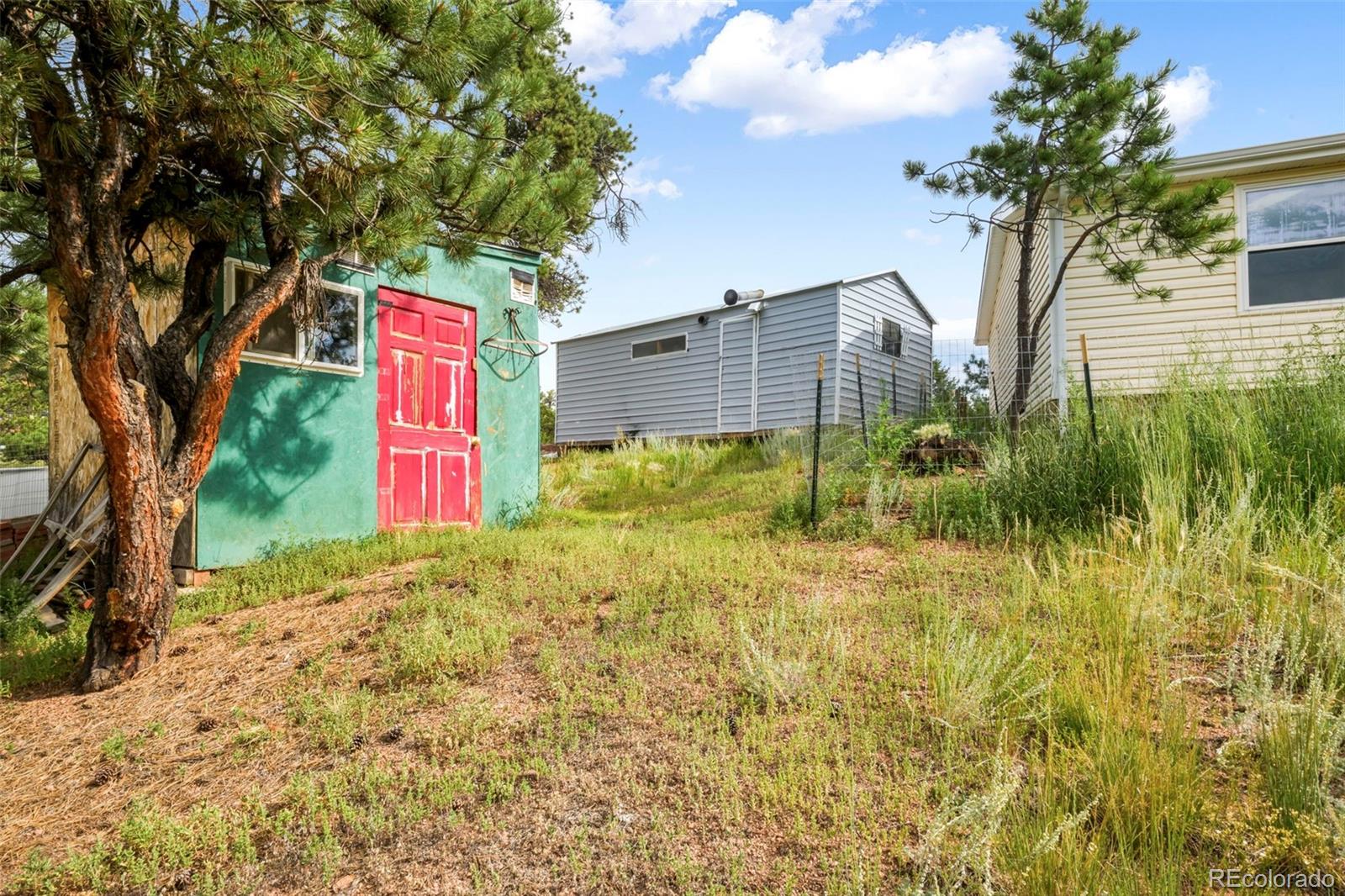 MLS Image #40 for 696  calle de la nieva ,florissant, Colorado