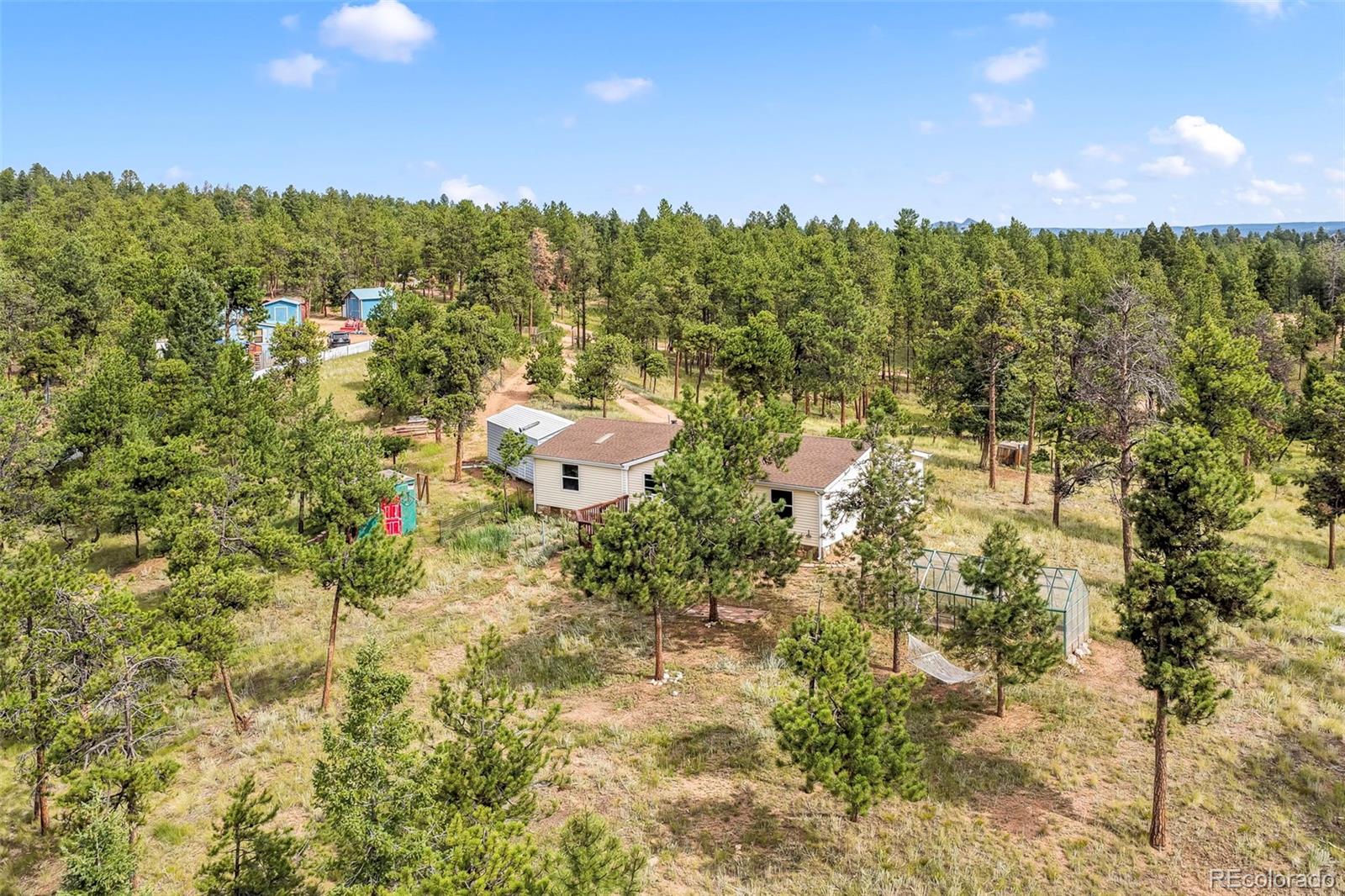 MLS Image #46 for 696  calle de la nieva ,florissant, Colorado