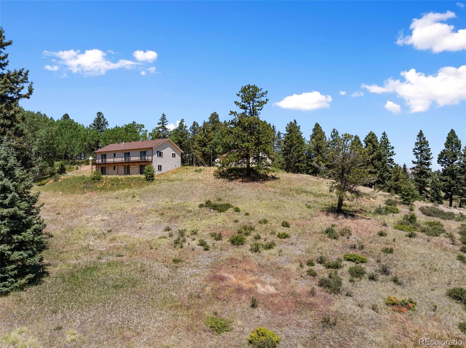 MLS Image #1 for 1054  cantiberry road,divide, Colorado