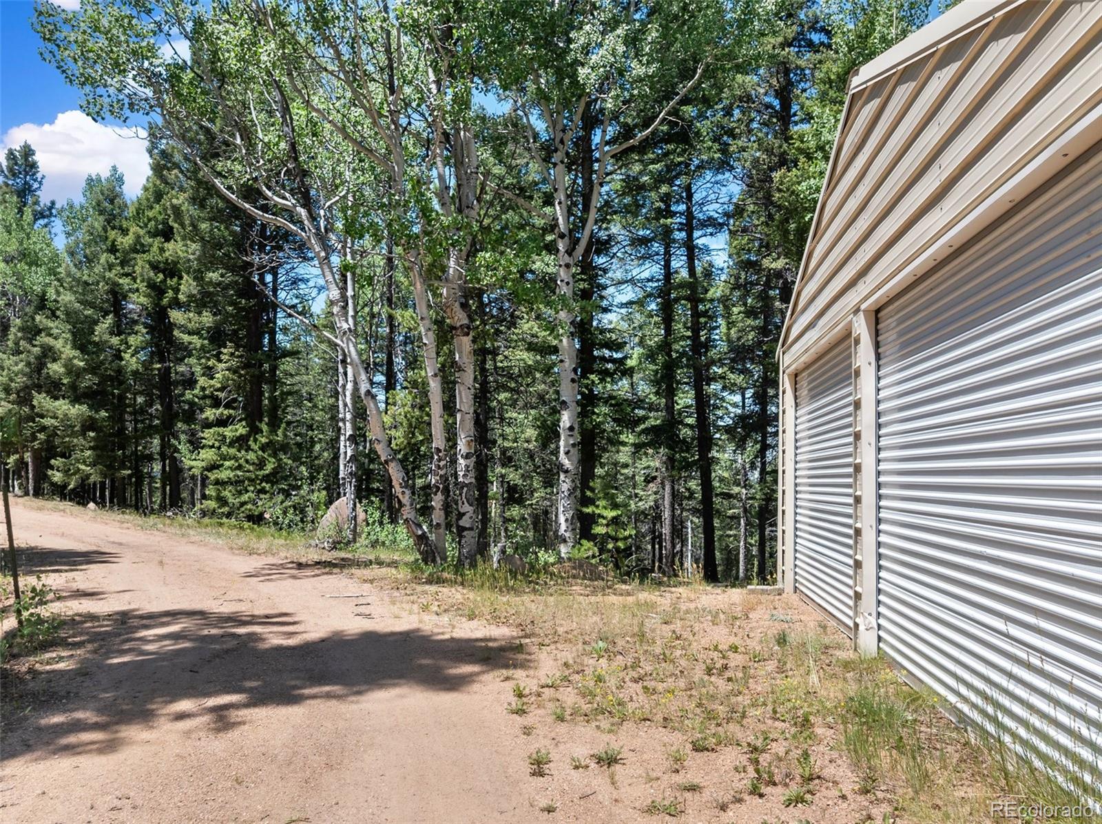 MLS Image #13 for 1054  cantiberry road,divide, Colorado