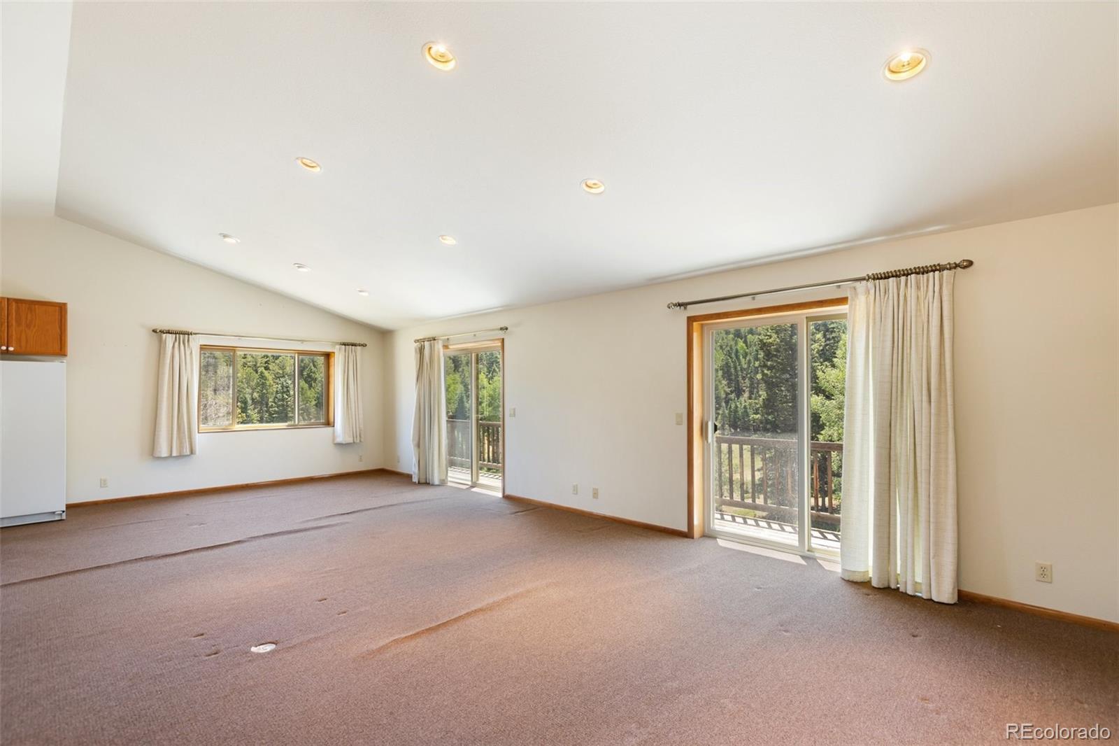 MLS Image #17 for 1054  cantiberry road,divide, Colorado
