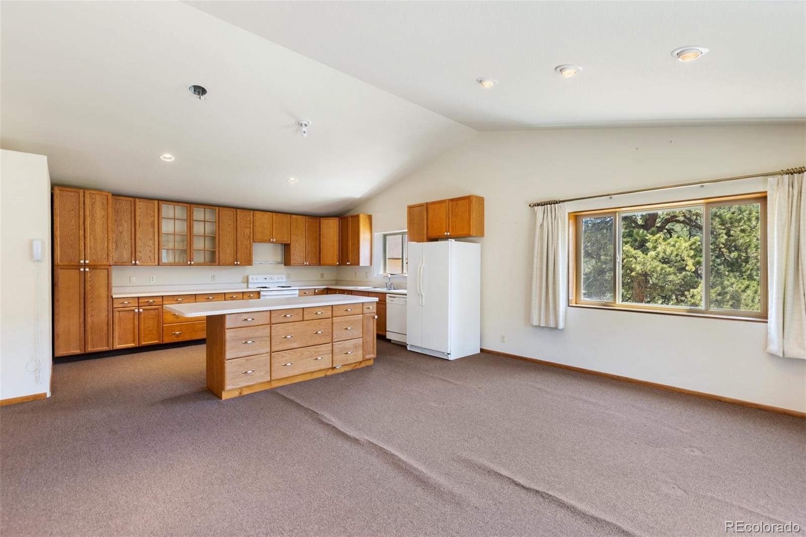 MLS Image #18 for 1054  cantiberry road,divide, Colorado