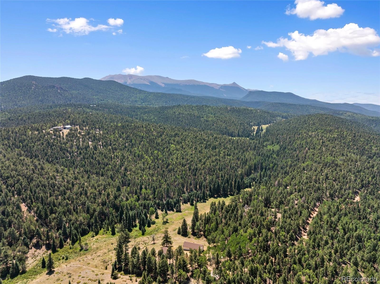 MLS Image #2 for 1054  cantiberry road,divide, Colorado