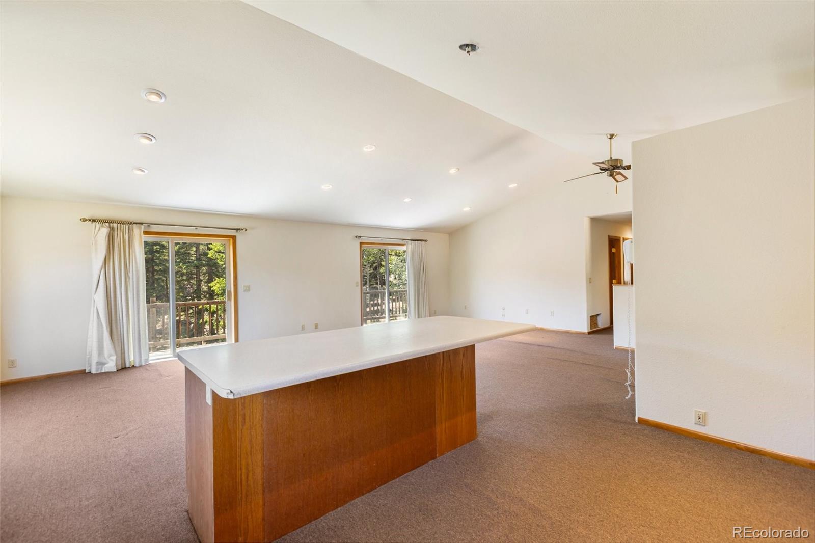 MLS Image #20 for 1054  cantiberry road,divide, Colorado