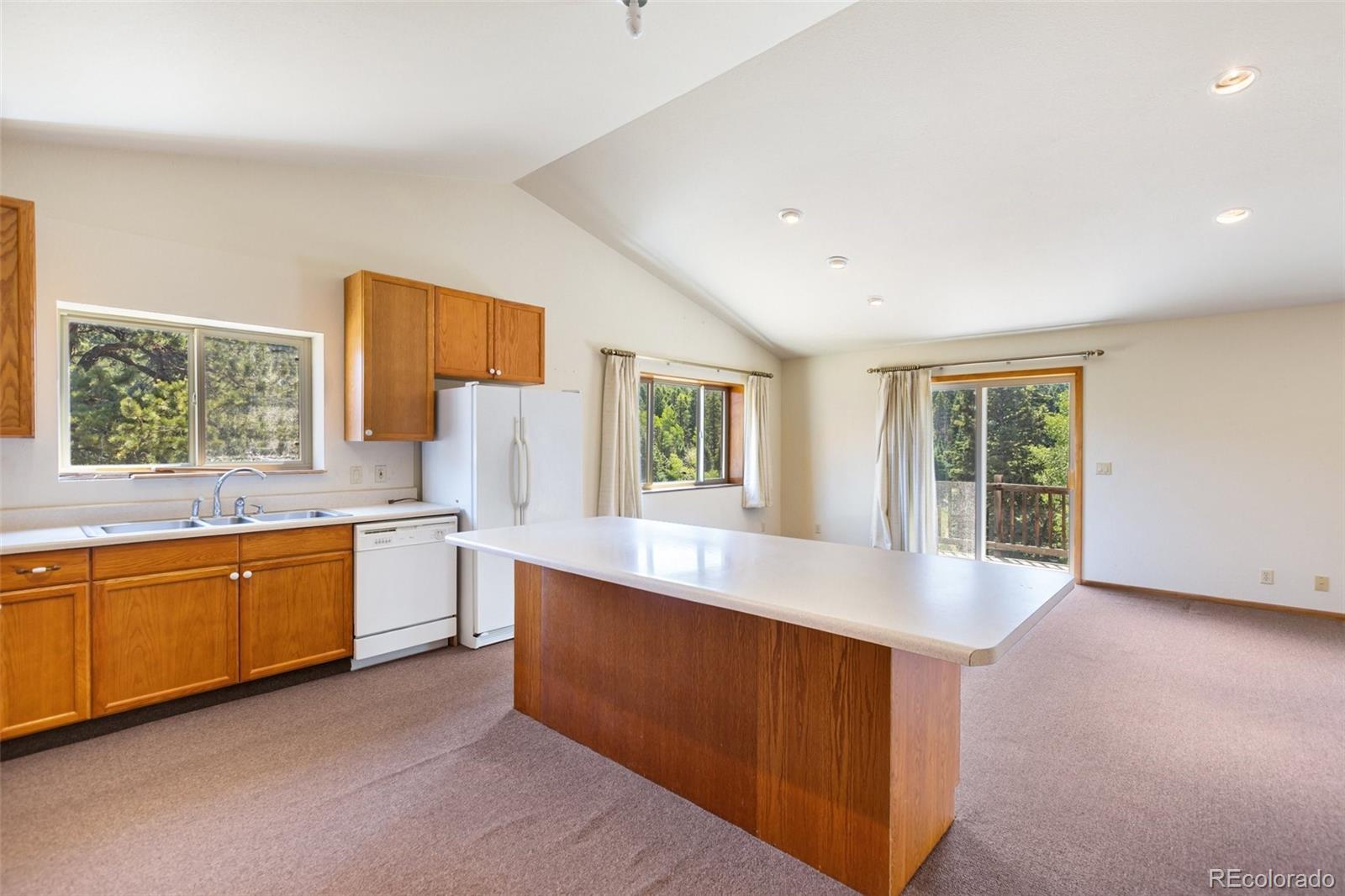 MLS Image #21 for 1054  cantiberry road,divide, Colorado