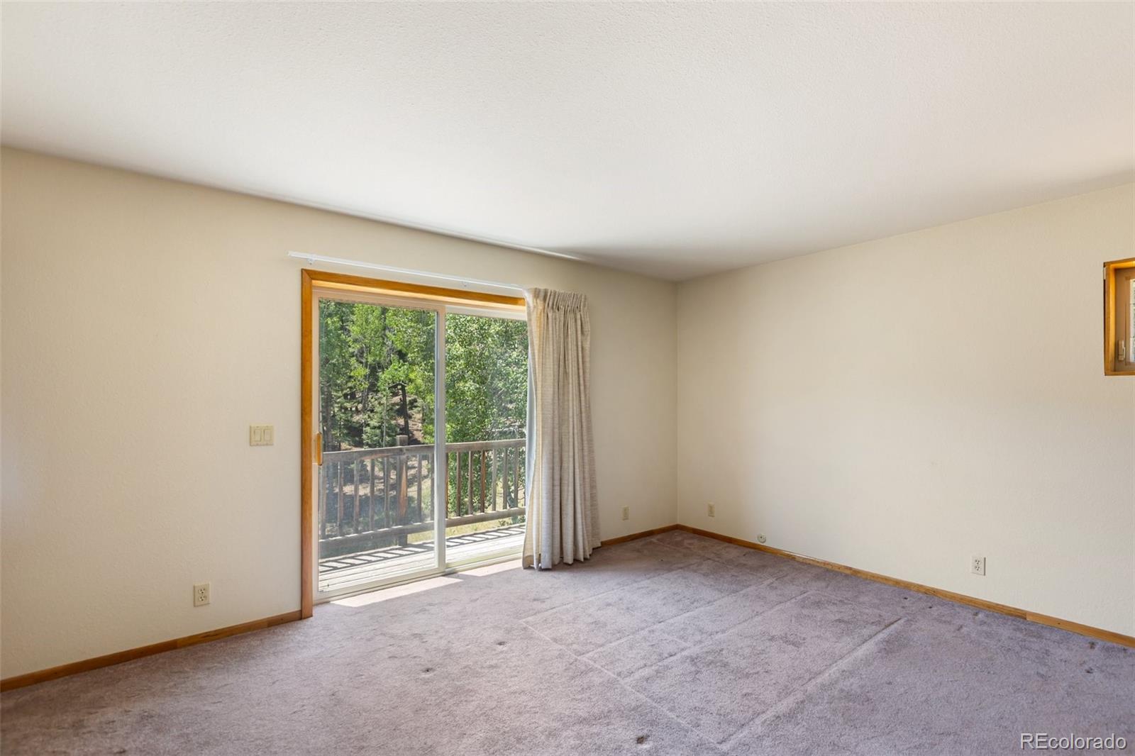 MLS Image #24 for 1054  cantiberry road,divide, Colorado
