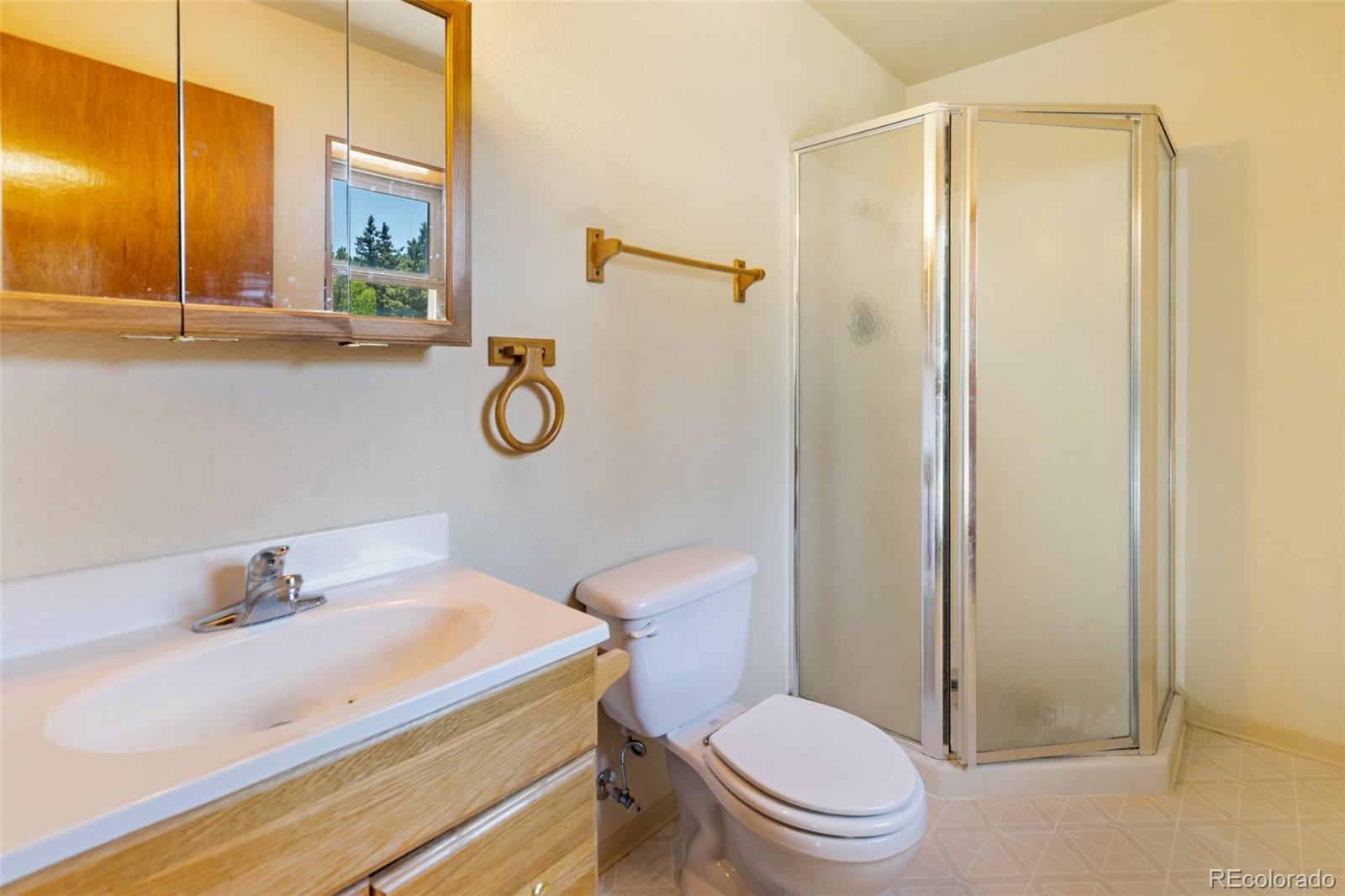 MLS Image #25 for 1054  cantiberry road,divide, Colorado