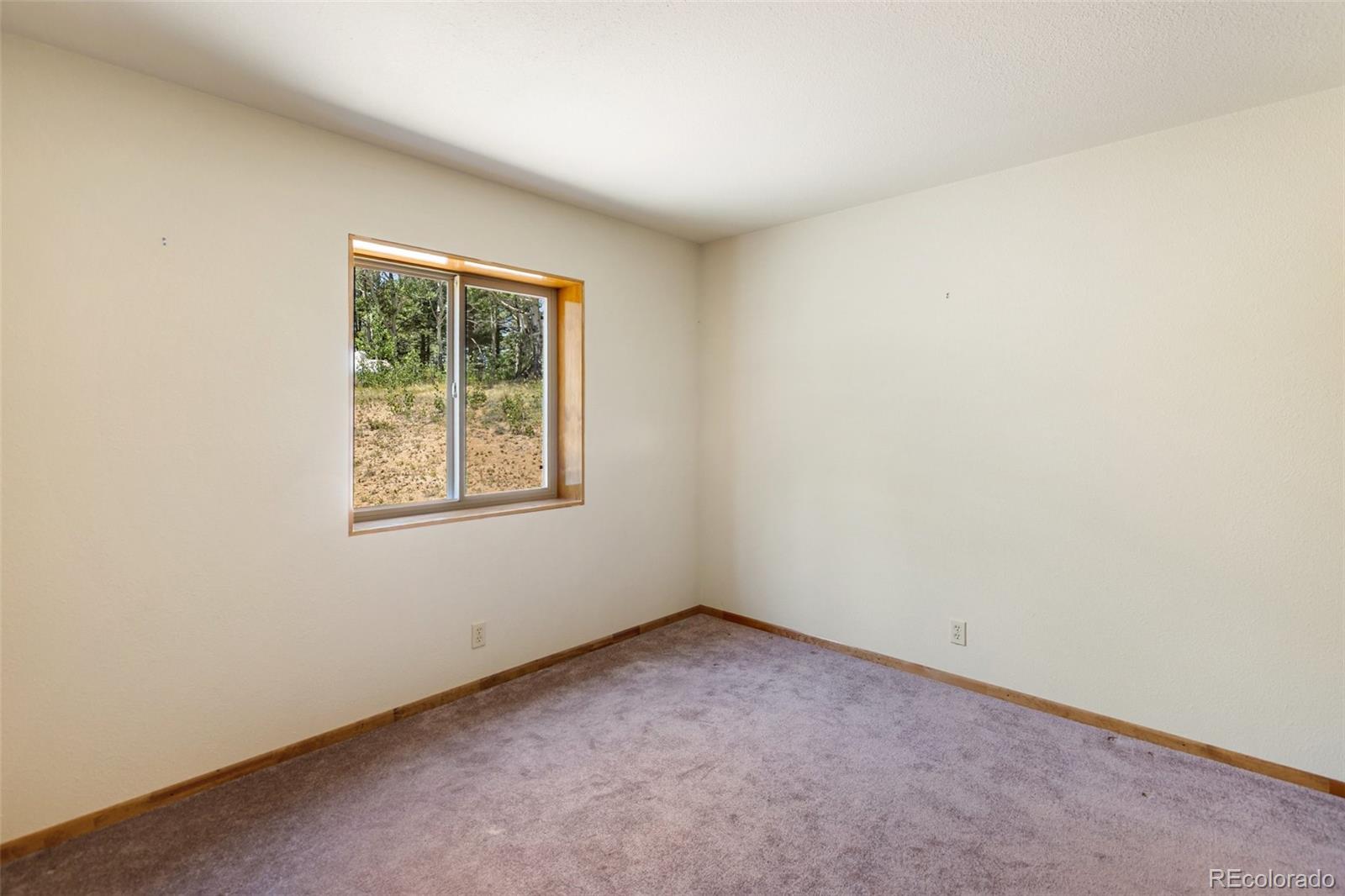 MLS Image #29 for 1054  cantiberry road,divide, Colorado