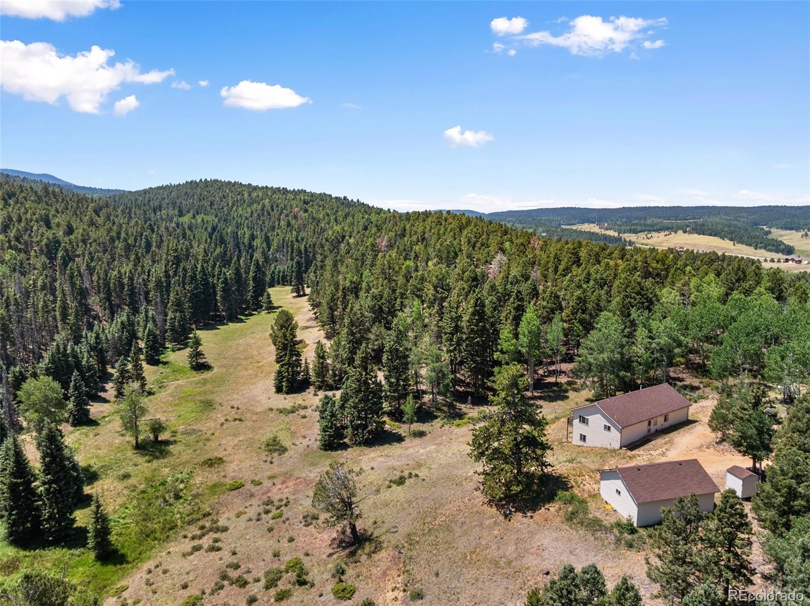 MLS Image #3 for 1054  cantiberry road,divide, Colorado