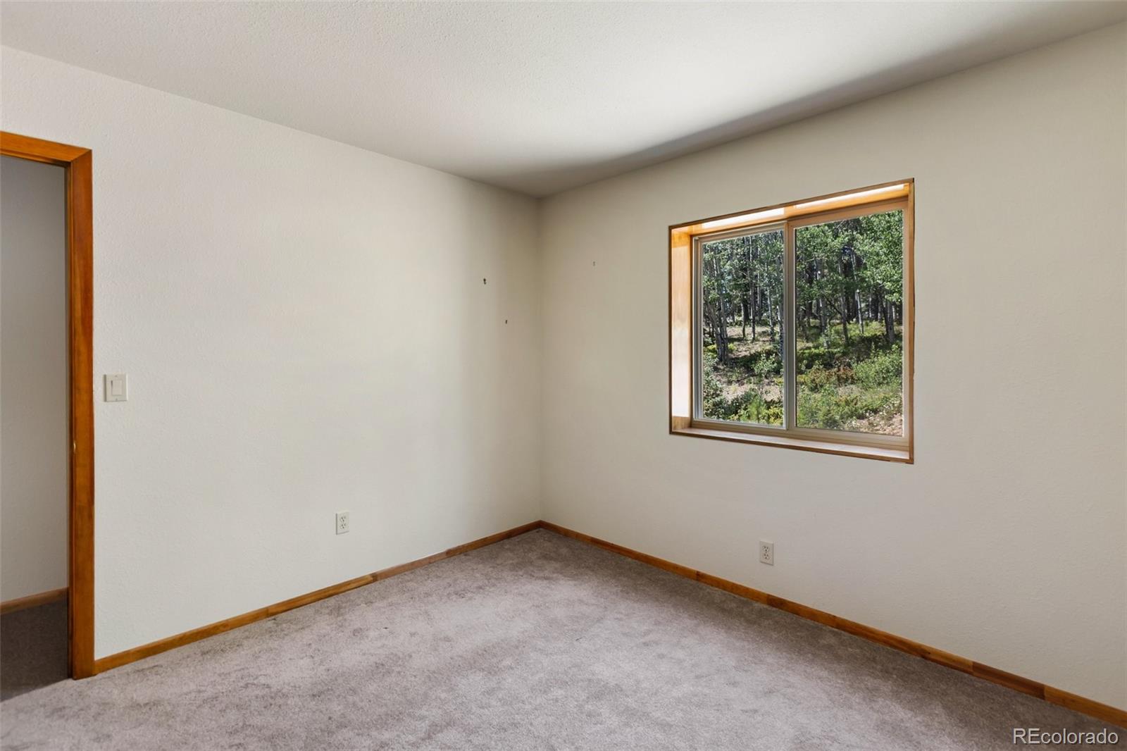 MLS Image #30 for 1054  cantiberry road,divide, Colorado