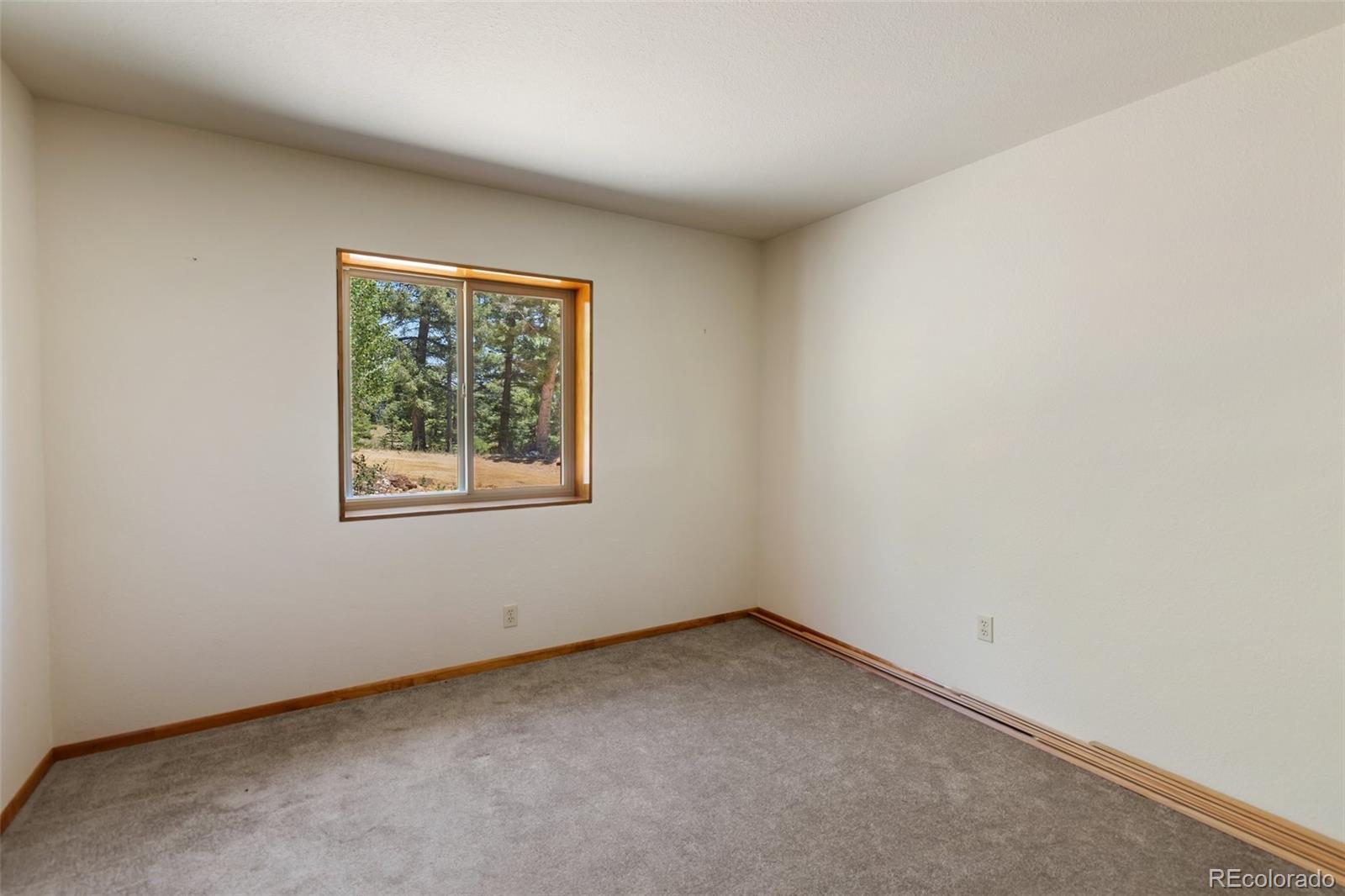 MLS Image #32 for 1054  cantiberry road,divide, Colorado