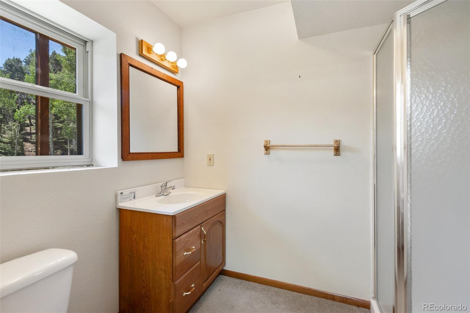 MLS Image #38 for 1054  cantiberry road,divide, Colorado