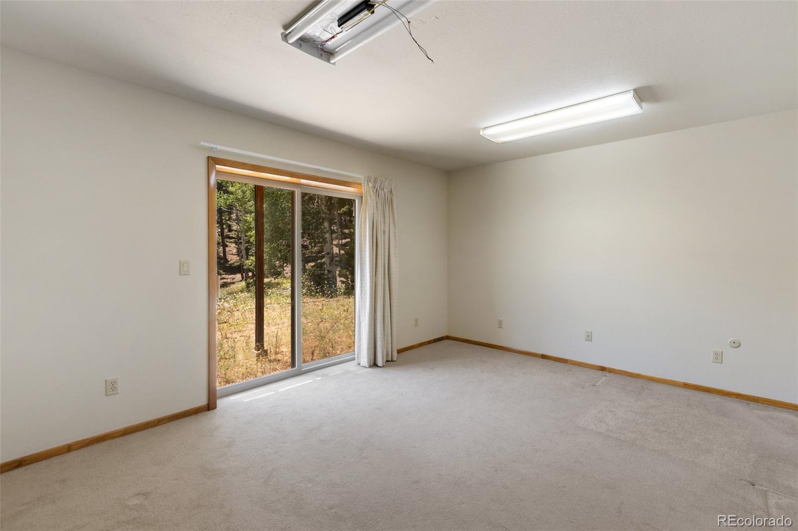 MLS Image #41 for 1054  cantiberry road,divide, Colorado