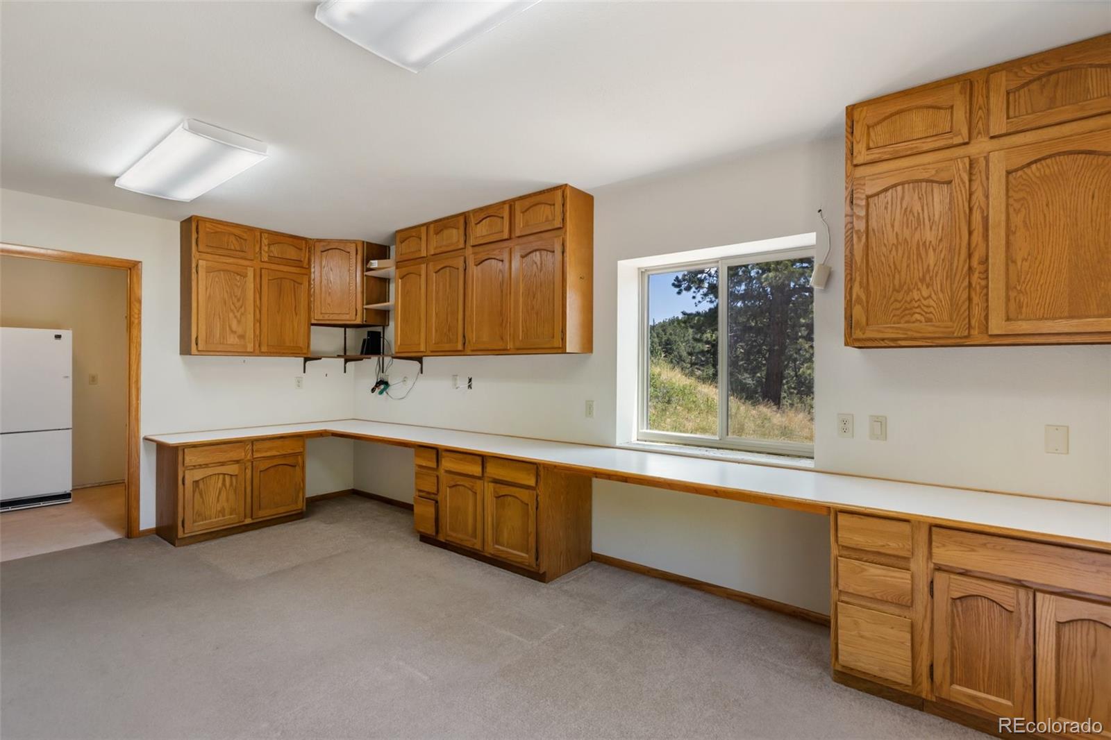 MLS Image #45 for 1054  cantiberry road,divide, Colorado