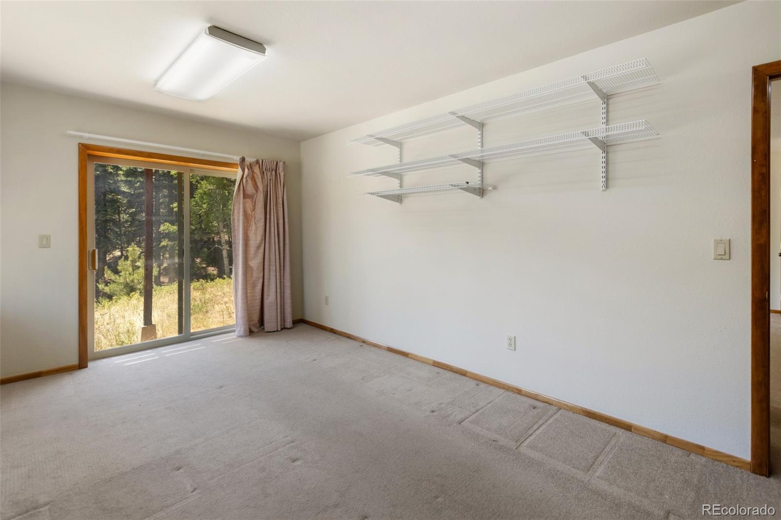 MLS Image #46 for 1054  cantiberry road,divide, Colorado