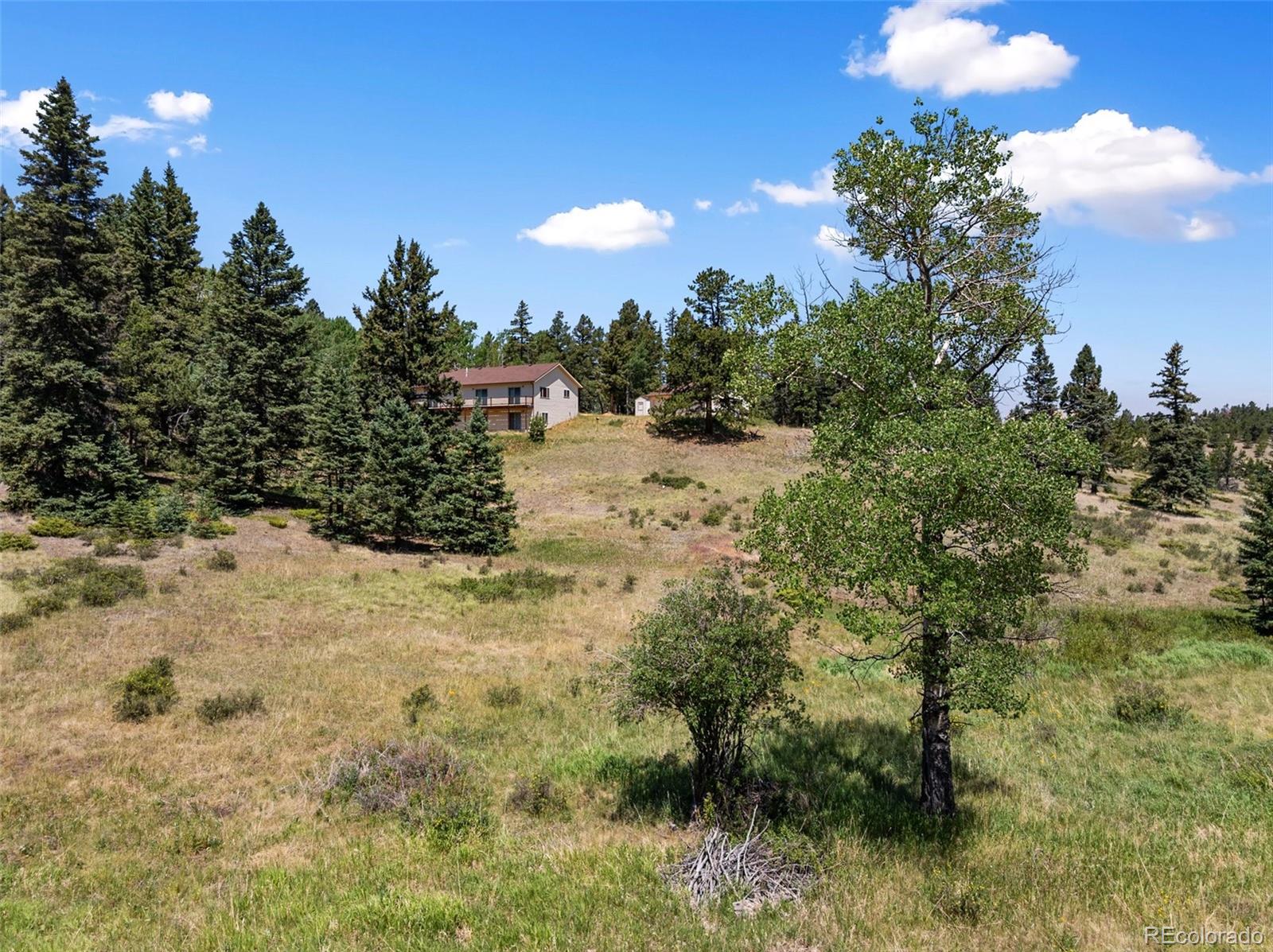 MLS Image #48 for 1054  cantiberry road,divide, Colorado
