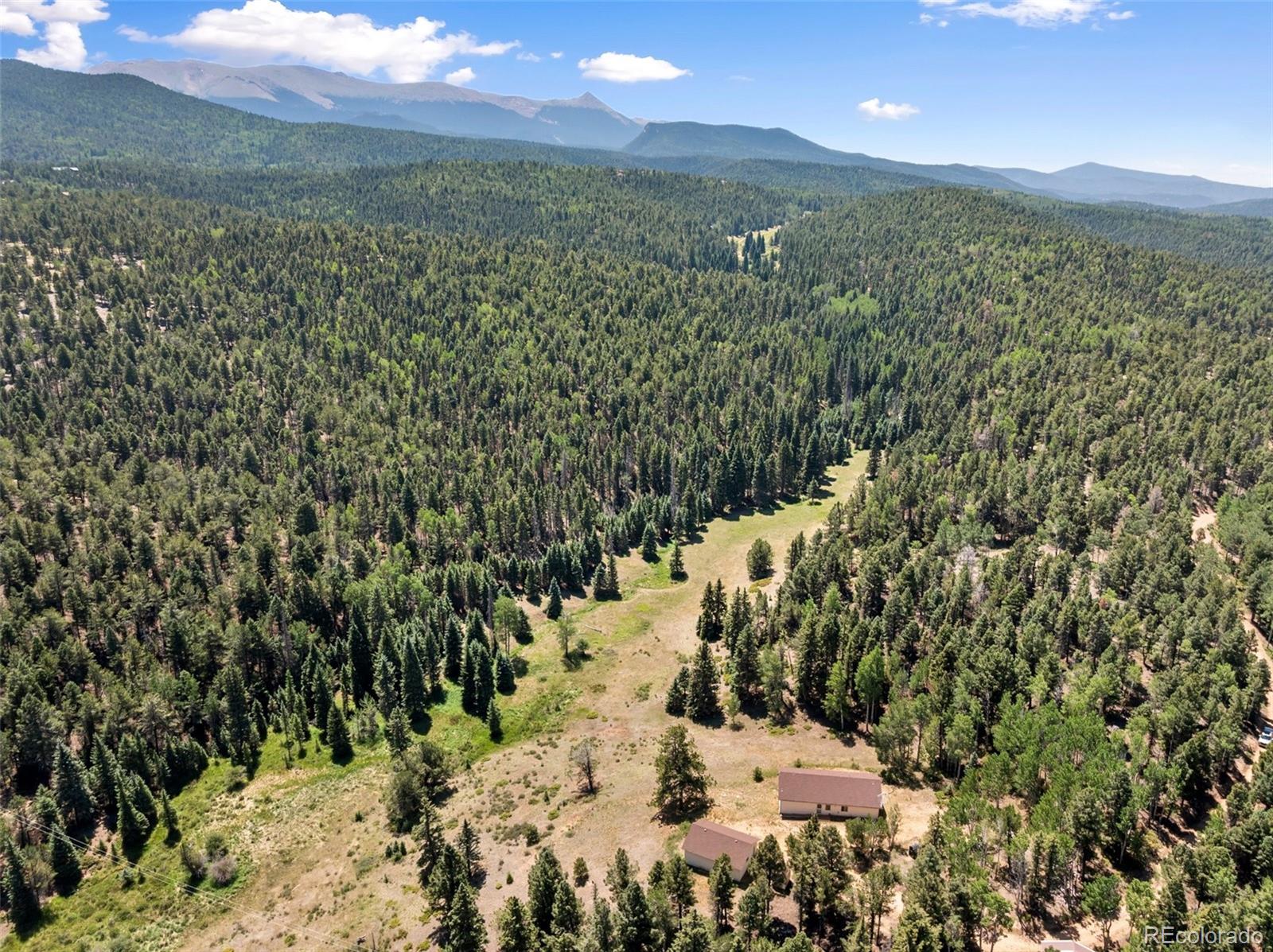 MLS Image #5 for 1054  cantiberry road,divide, Colorado