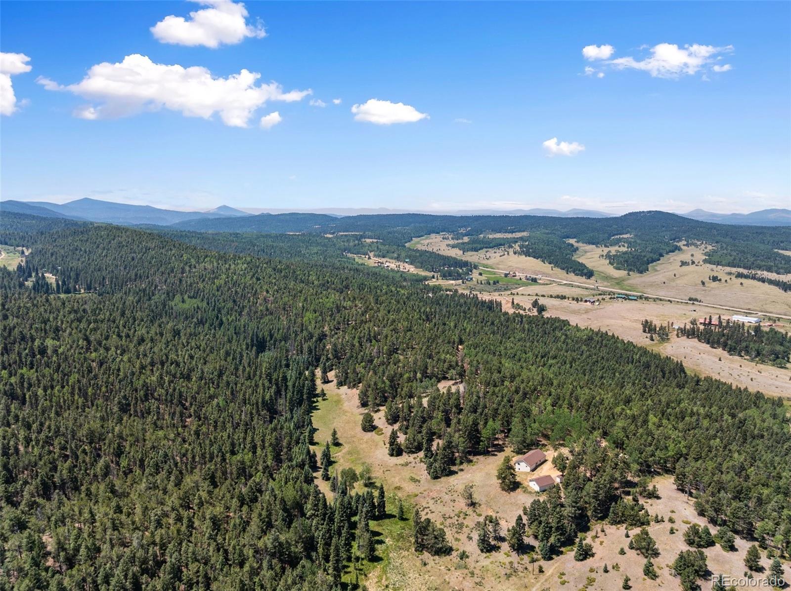 MLS Image #6 for 1054  cantiberry road,divide, Colorado