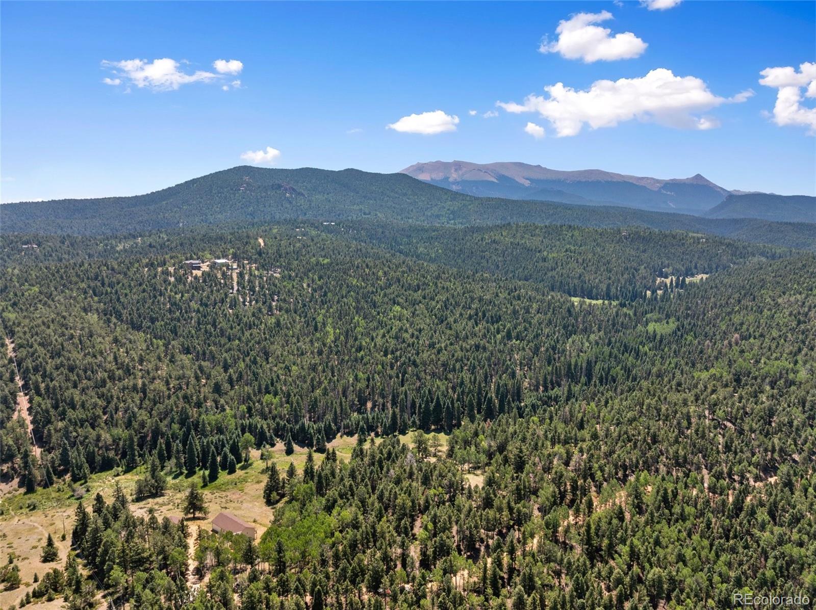 MLS Image #7 for 1054  cantiberry road,divide, Colorado