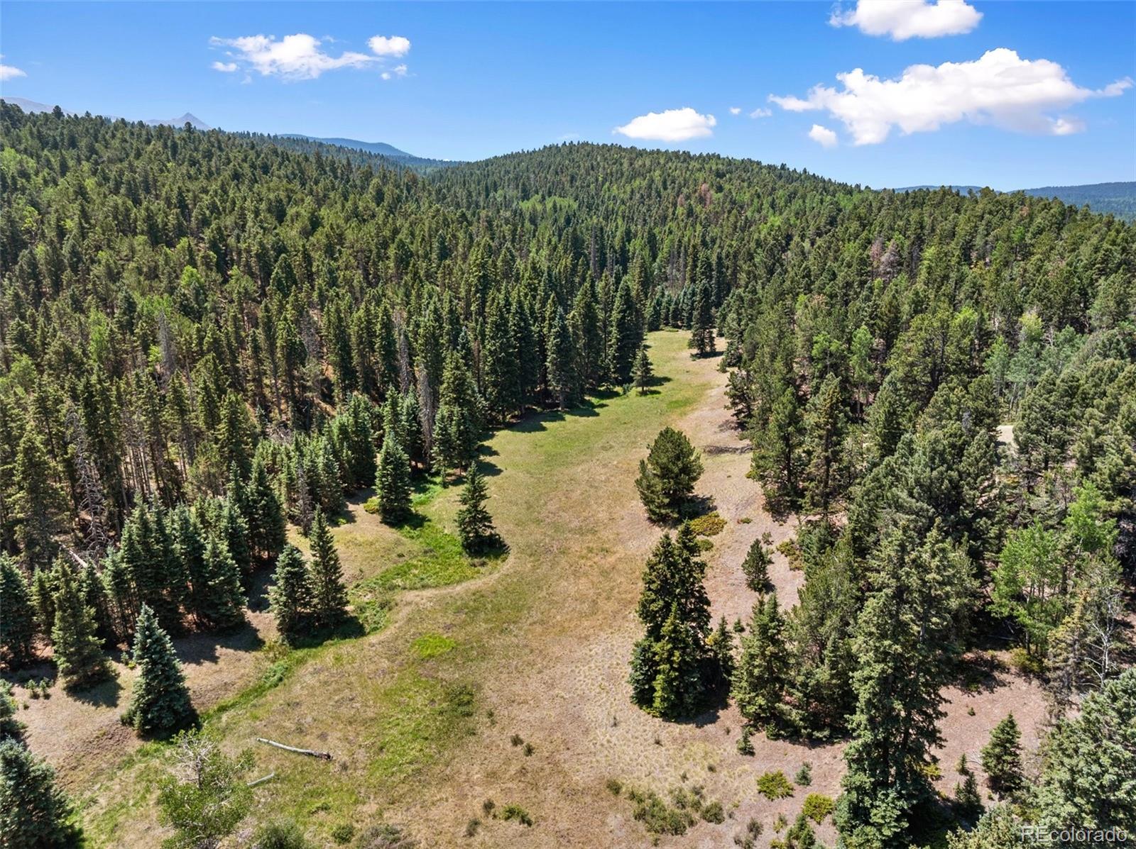 MLS Image #8 for 1054  cantiberry road,divide, Colorado