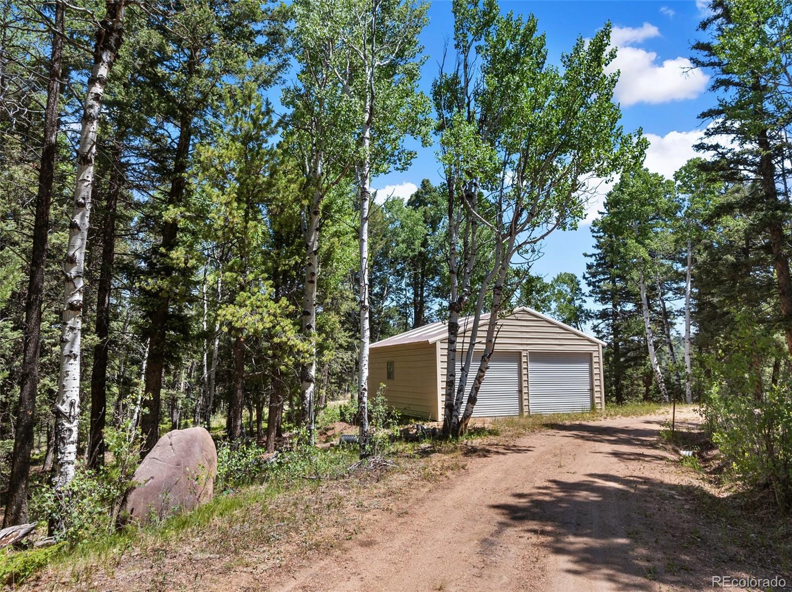 MLS Image #9 for 1054  cantiberry road,divide, Colorado