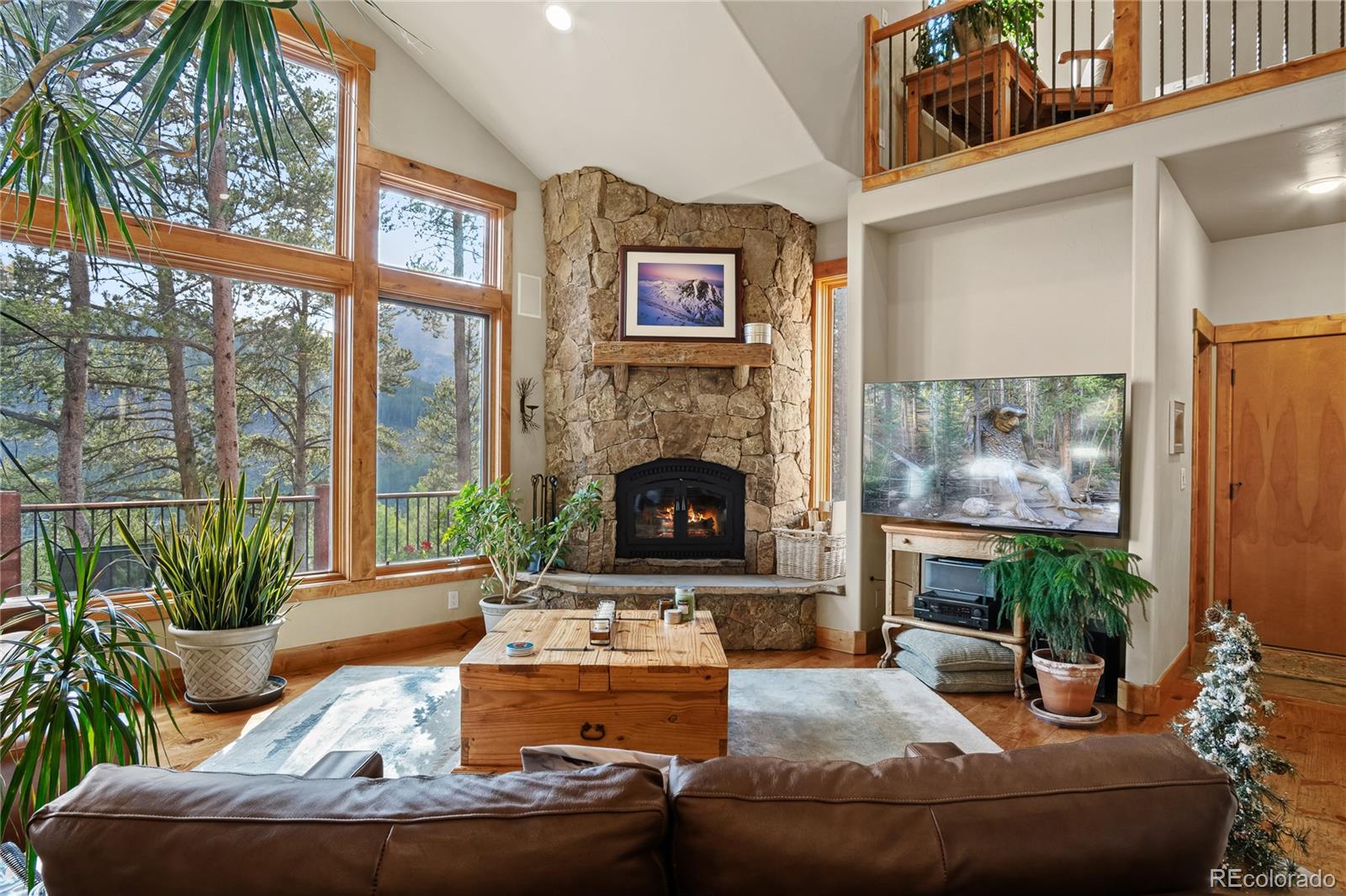 MLS Image #1 for 314  coronet drive,breckenridge, Colorado