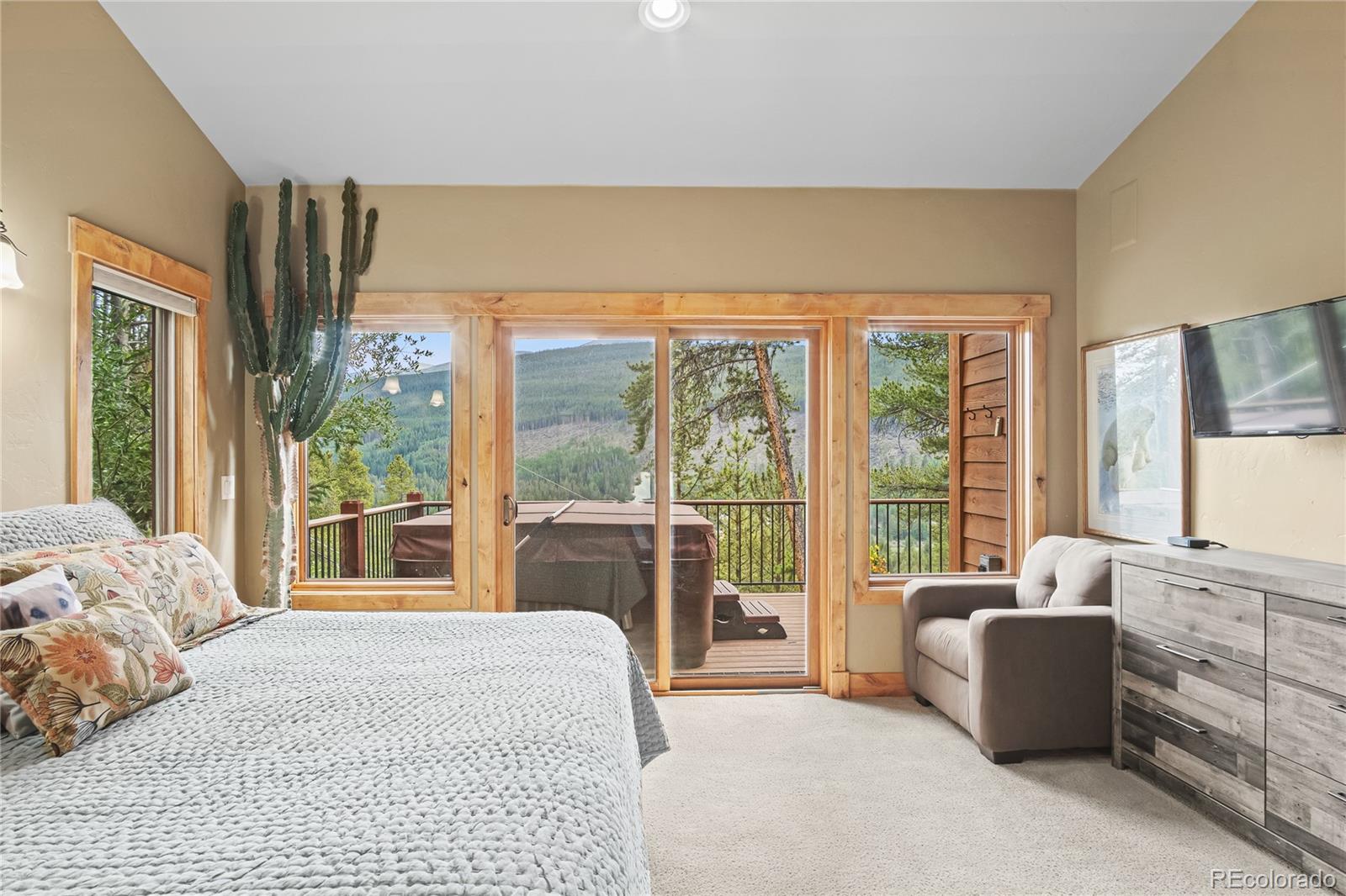 MLS Image #15 for 314  coronet drive,breckenridge, Colorado