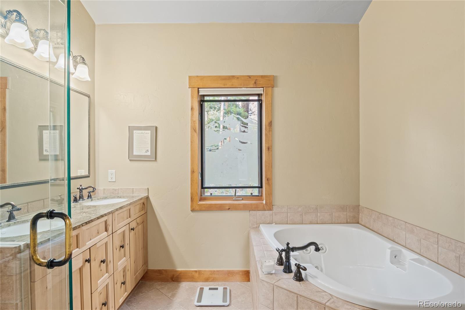 MLS Image #18 for 314  coronet drive,breckenridge, Colorado