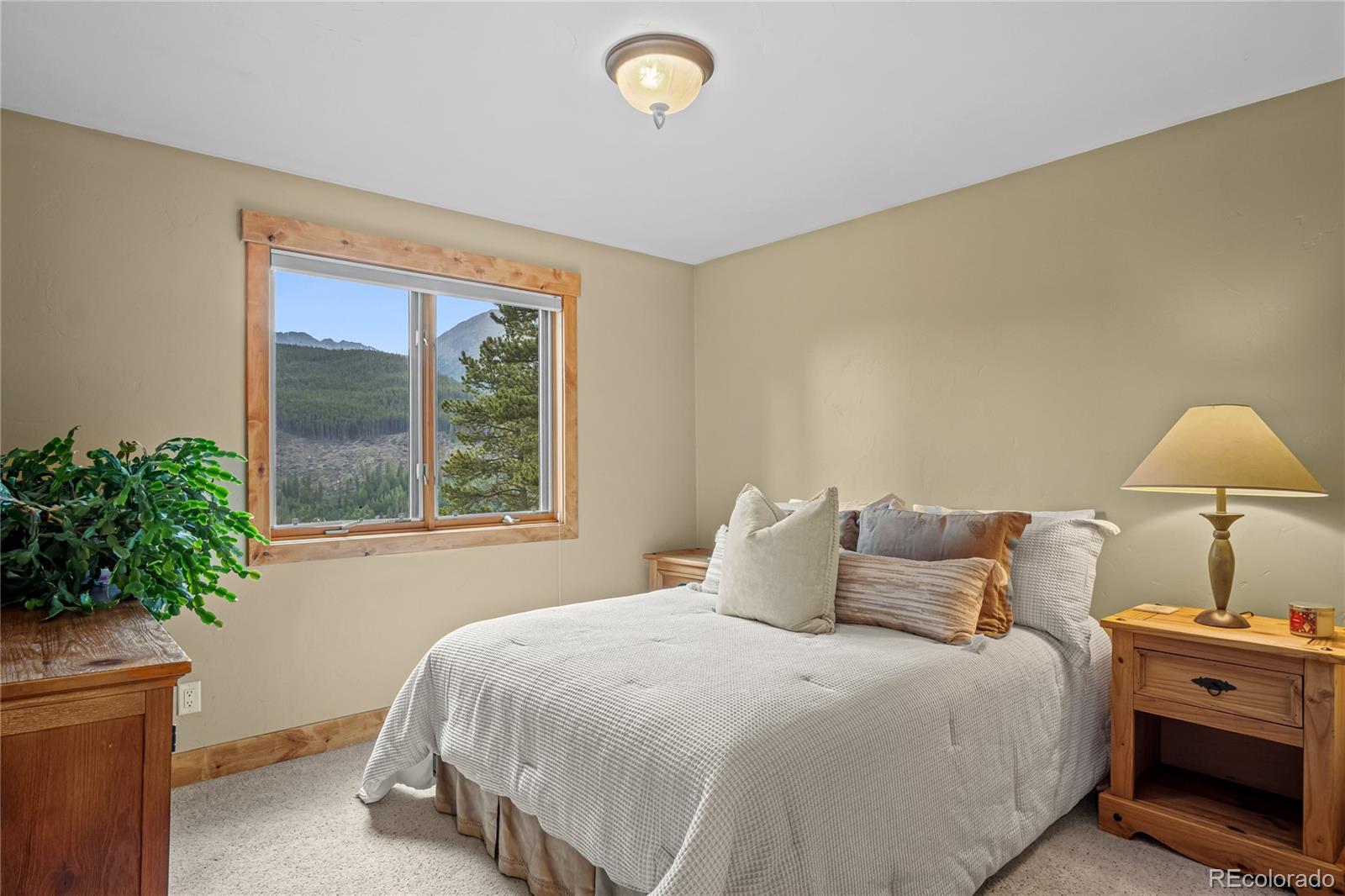 MLS Image #25 for 314  coronet drive,breckenridge, Colorado