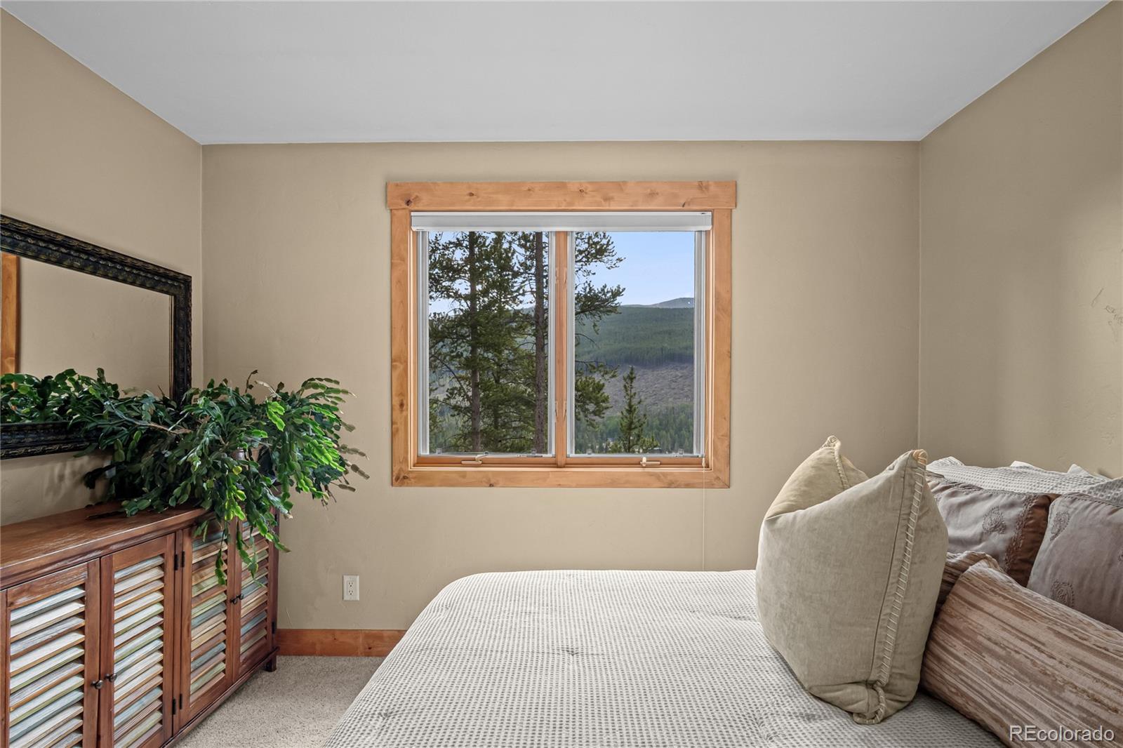 MLS Image #26 for 314  coronet drive,breckenridge, Colorado