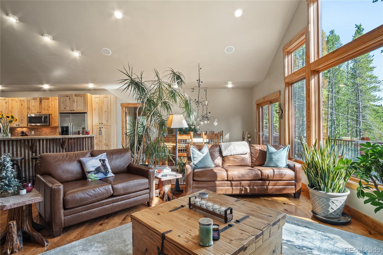 MLS Image #3 for 314  coronet drive,breckenridge, Colorado