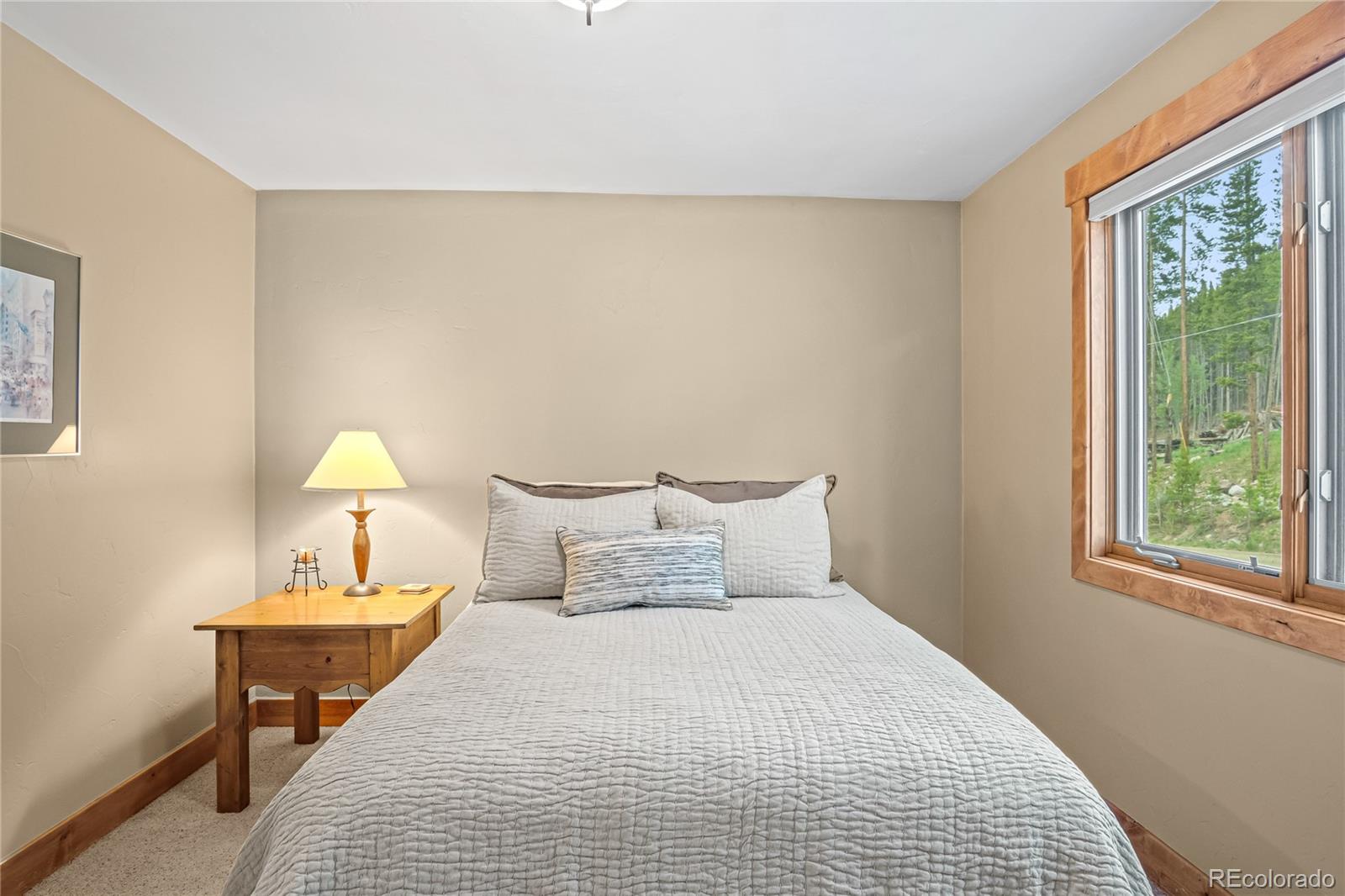 MLS Image #30 for 314  coronet drive,breckenridge, Colorado