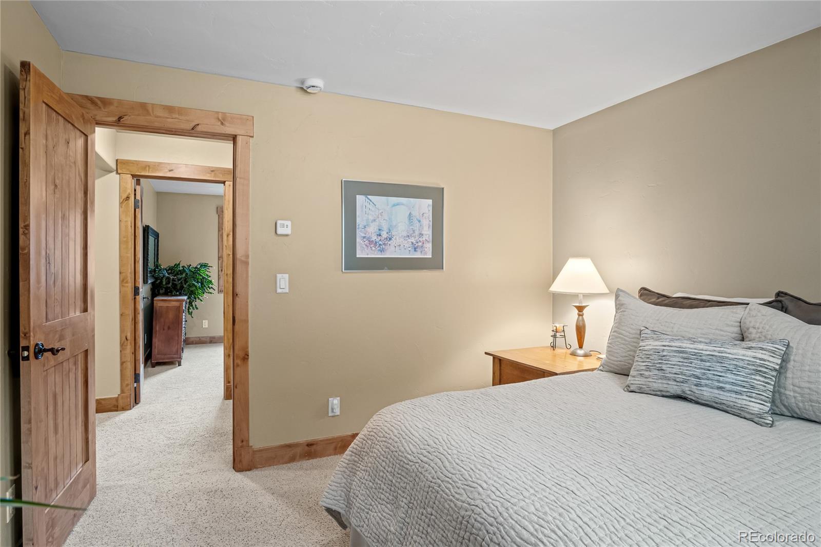 MLS Image #31 for 314  coronet drive,breckenridge, Colorado