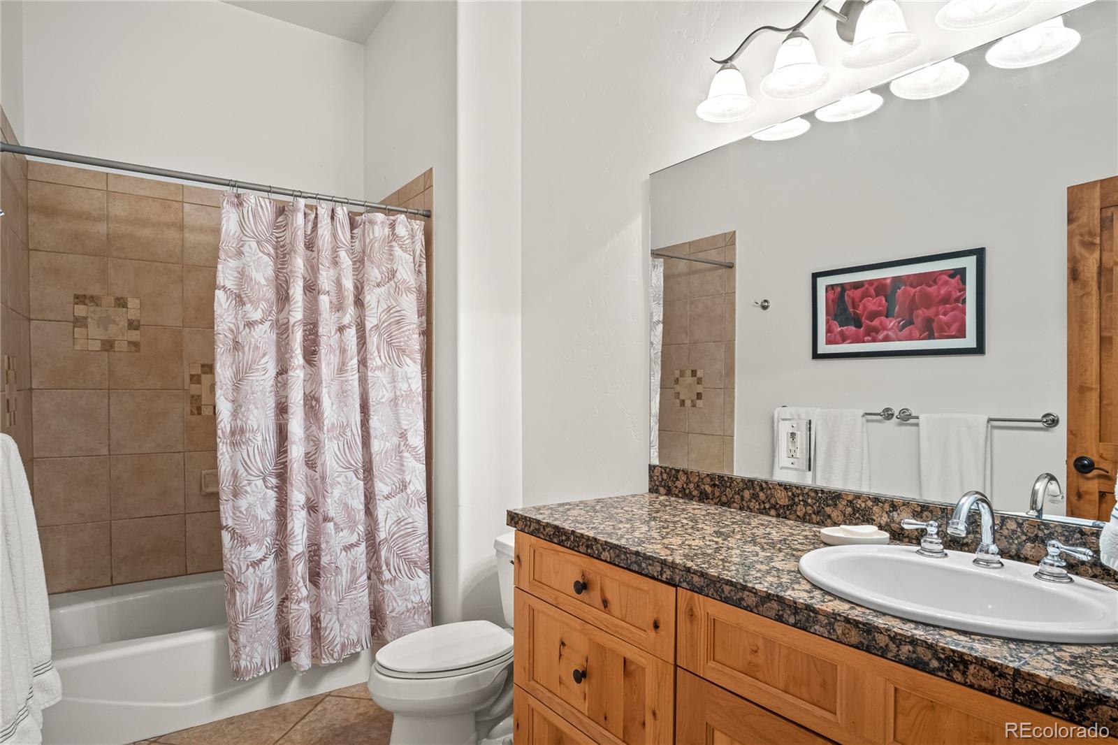 MLS Image #46 for 314  coronet drive,breckenridge, Colorado