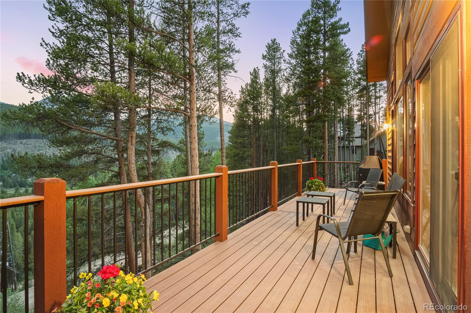 MLS Image #48 for 314  coronet drive,breckenridge, Colorado