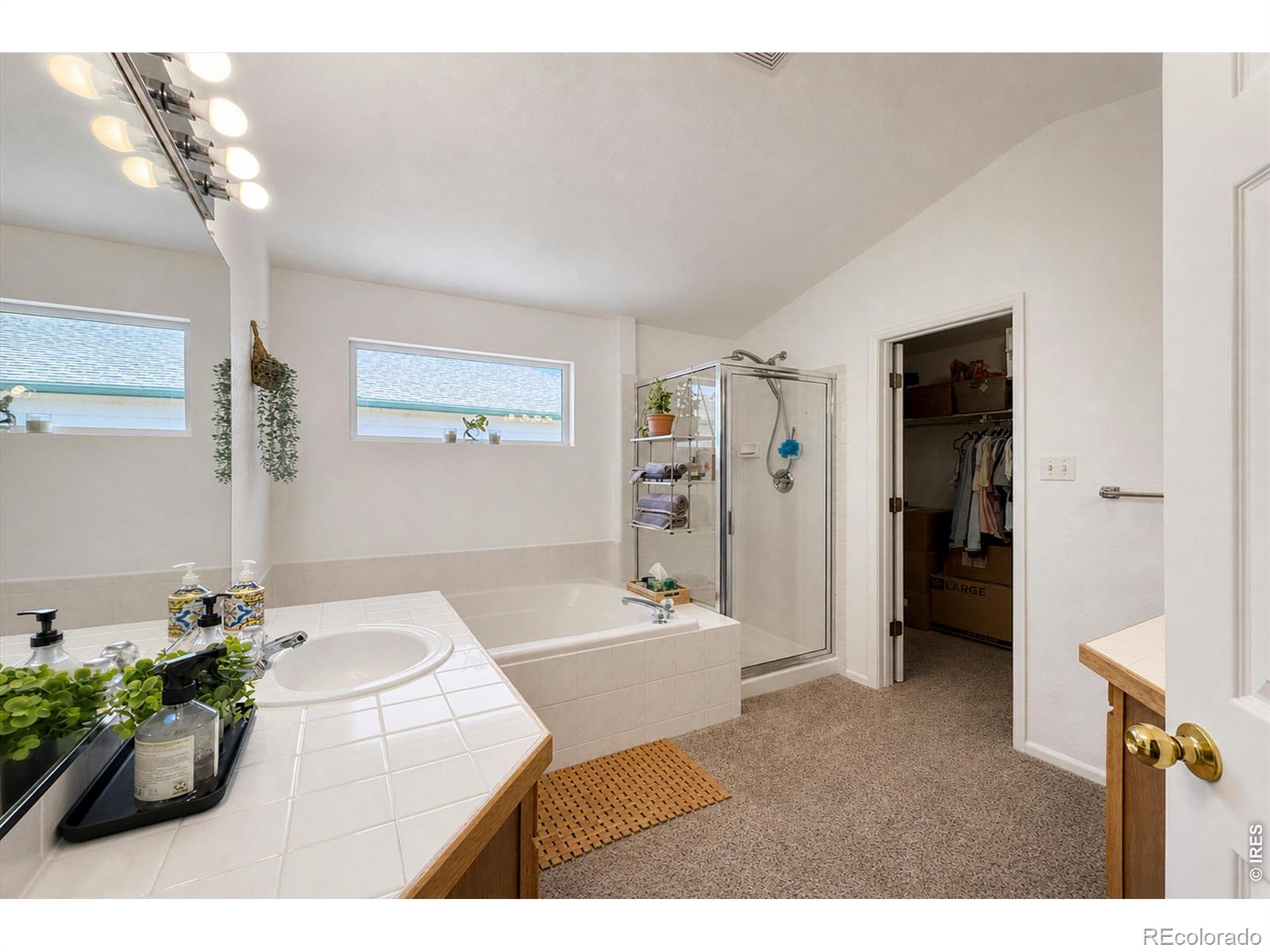 MLS Image #18 for 5472  fox run boulevard,longmont, Colorado