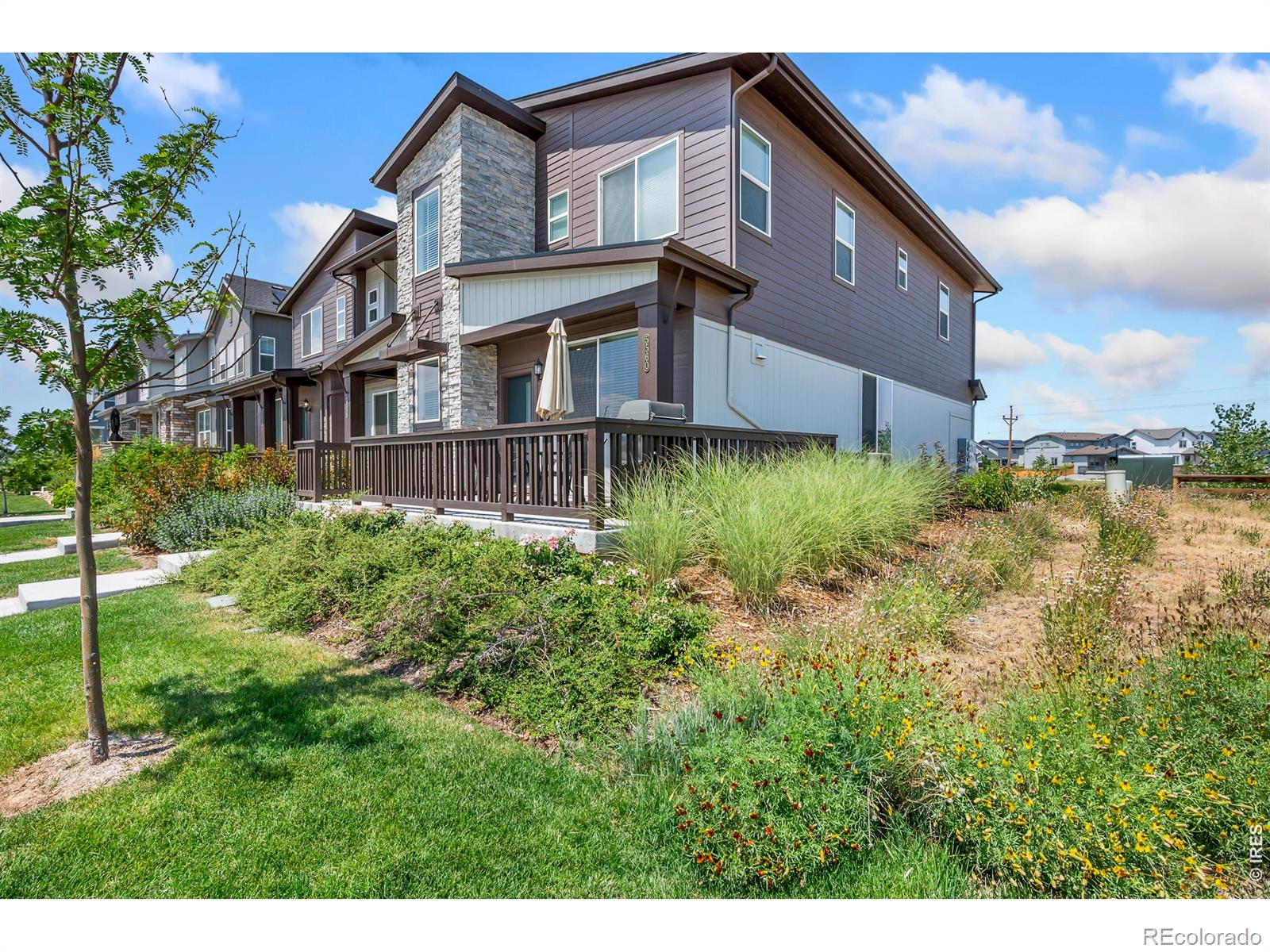 MLS Image #26 for 5560  second avenue,timnath, Colorado