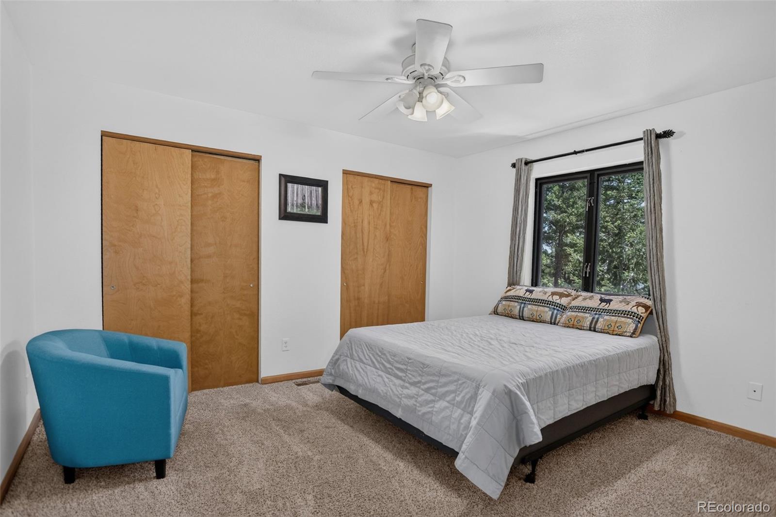 MLS Image #13 for 71  columbine drive,bailey, Colorado