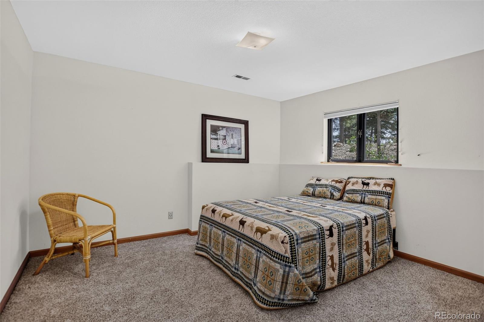 MLS Image #22 for 71  columbine drive,bailey, Colorado