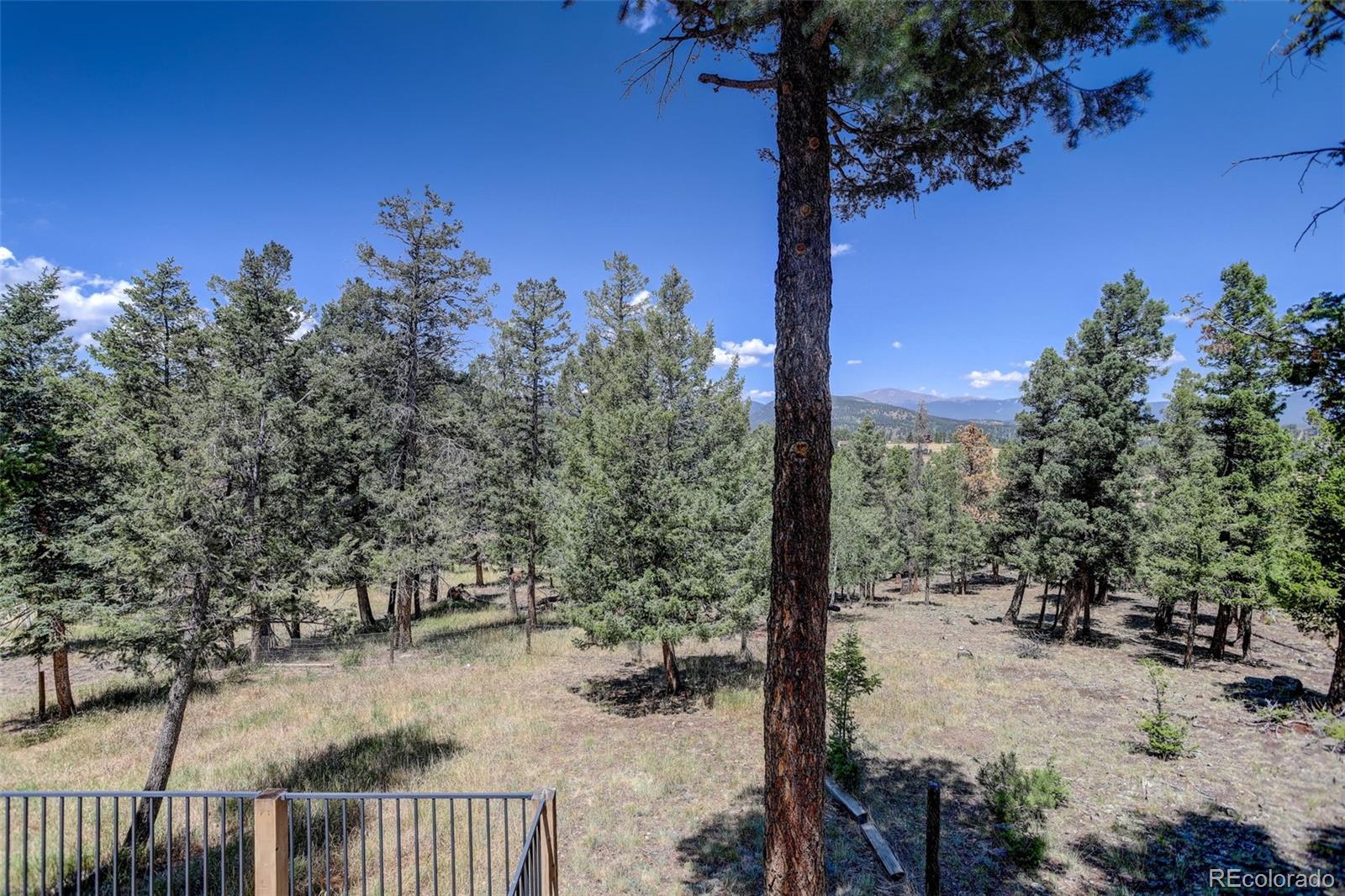 MLS Image #30 for 71  columbine drive,bailey, Colorado