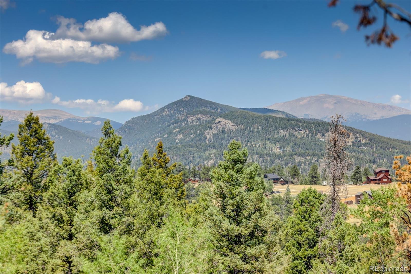 MLS Image #31 for 71  columbine drive,bailey, Colorado