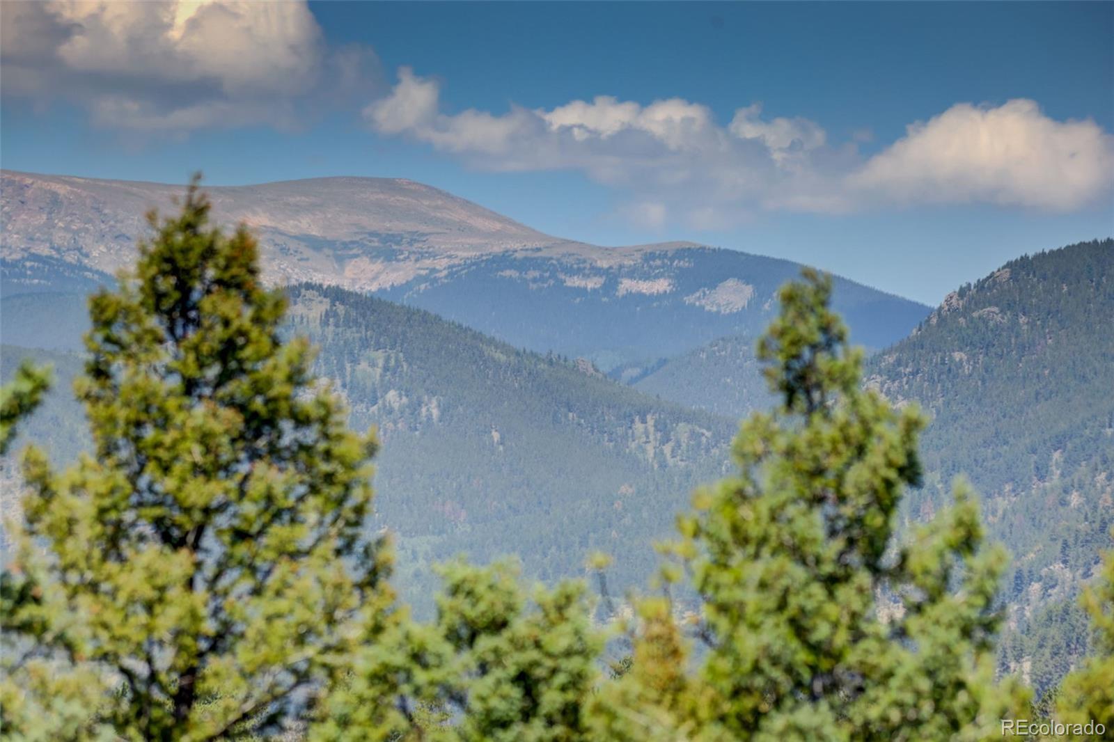 MLS Image #32 for 71  columbine drive,bailey, Colorado