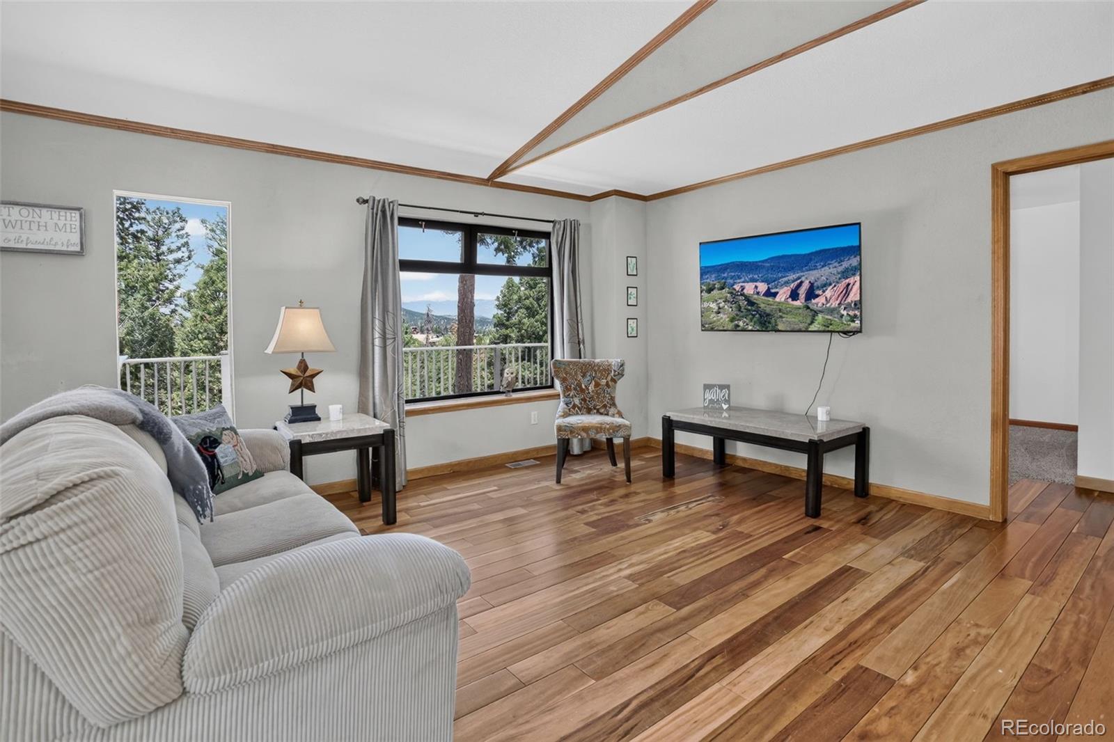 MLS Image #4 for 71  columbine drive,bailey, Colorado