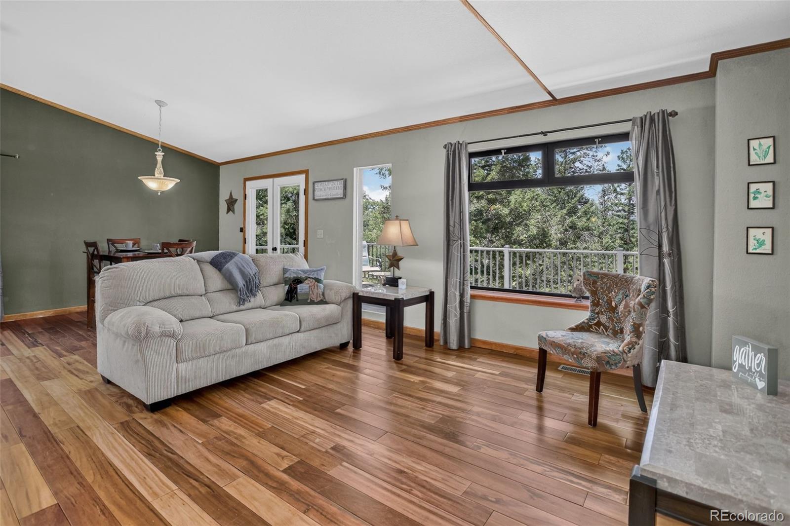 MLS Image #5 for 71  columbine drive,bailey, Colorado