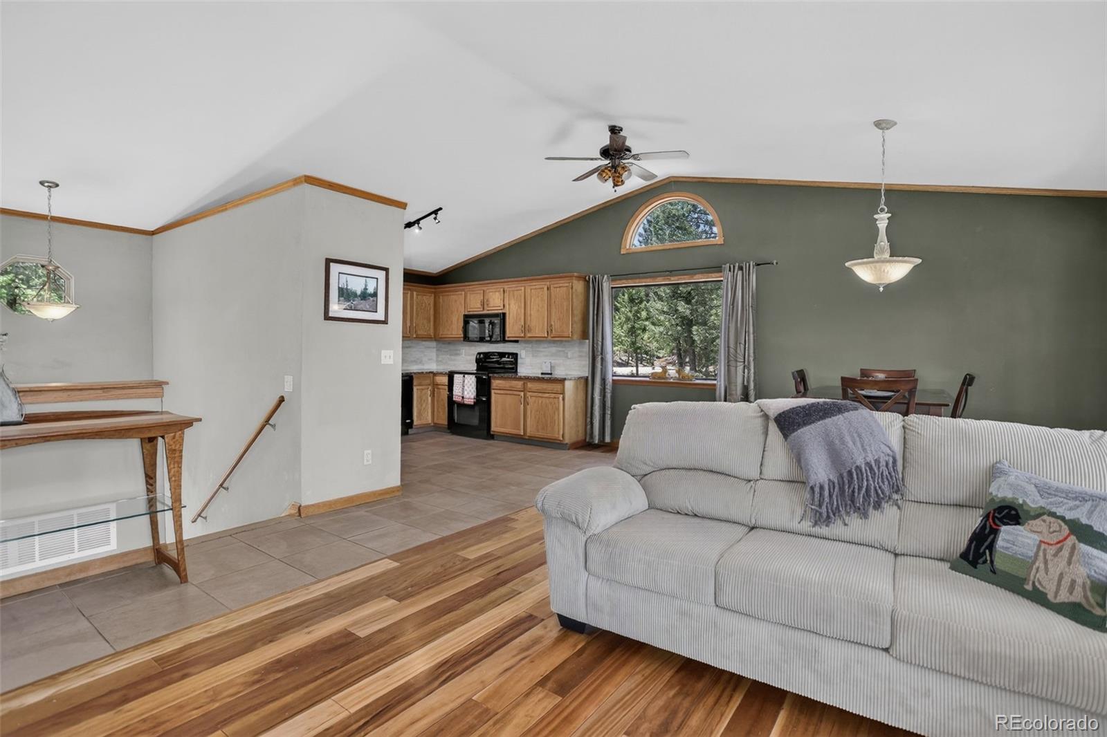 MLS Image #6 for 71  columbine drive,bailey, Colorado